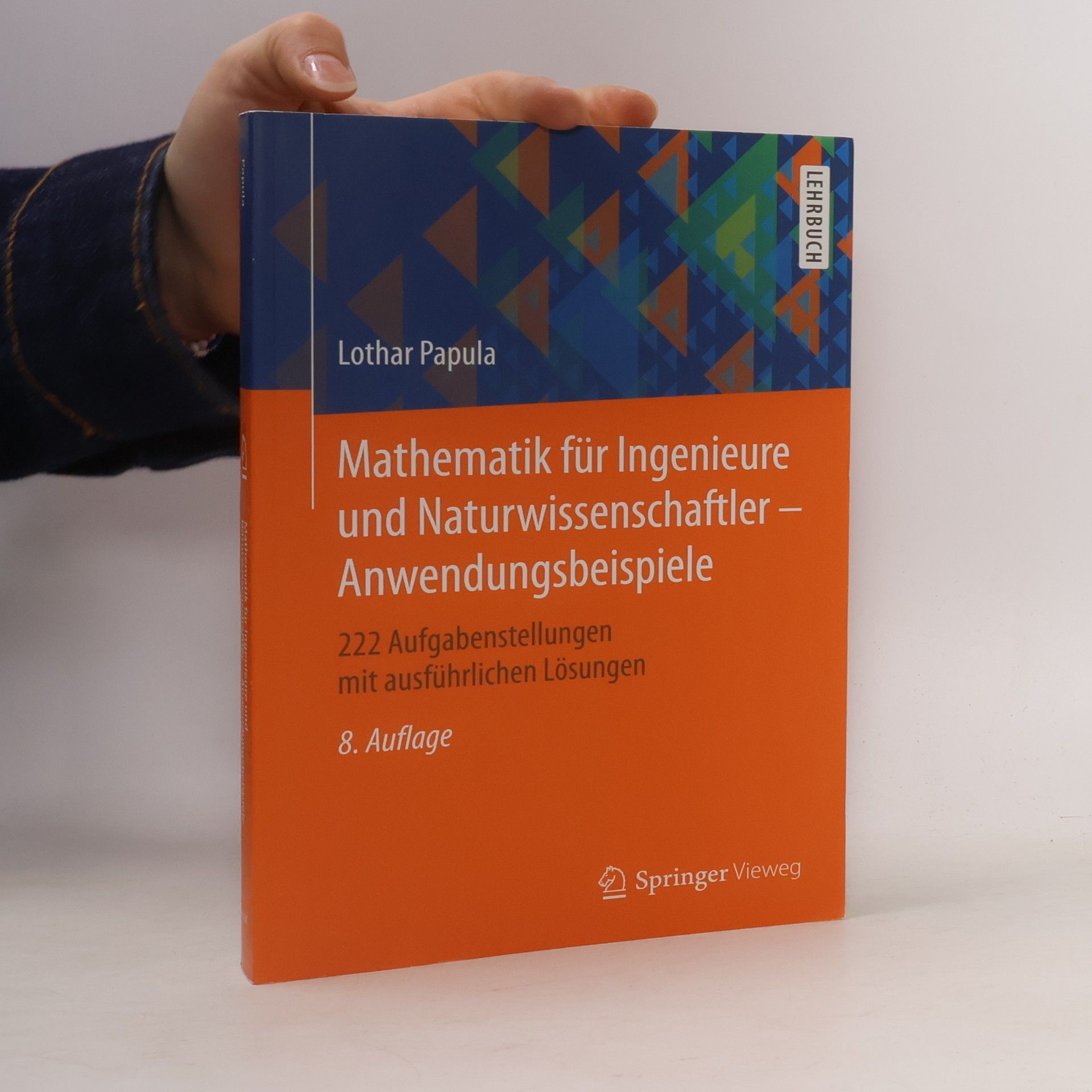 Lothar Papula Mathematik für Ingenieure und Naturwissenschaftler - Anwendungsbeispiele