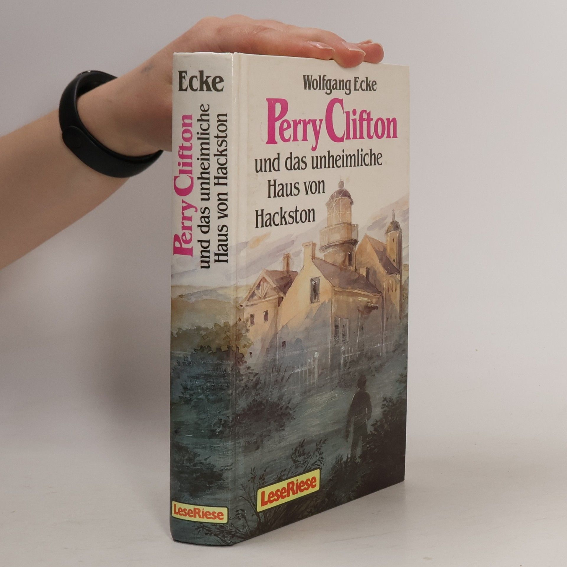 Wolfgang Ecke Perry Clifton und das unheimliche Haus von Hackston