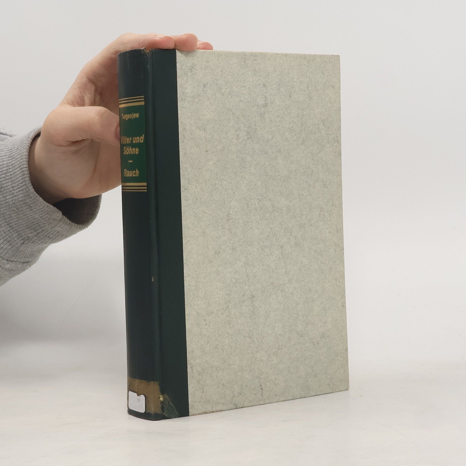 Ivan Turgenev Söhne und Väter