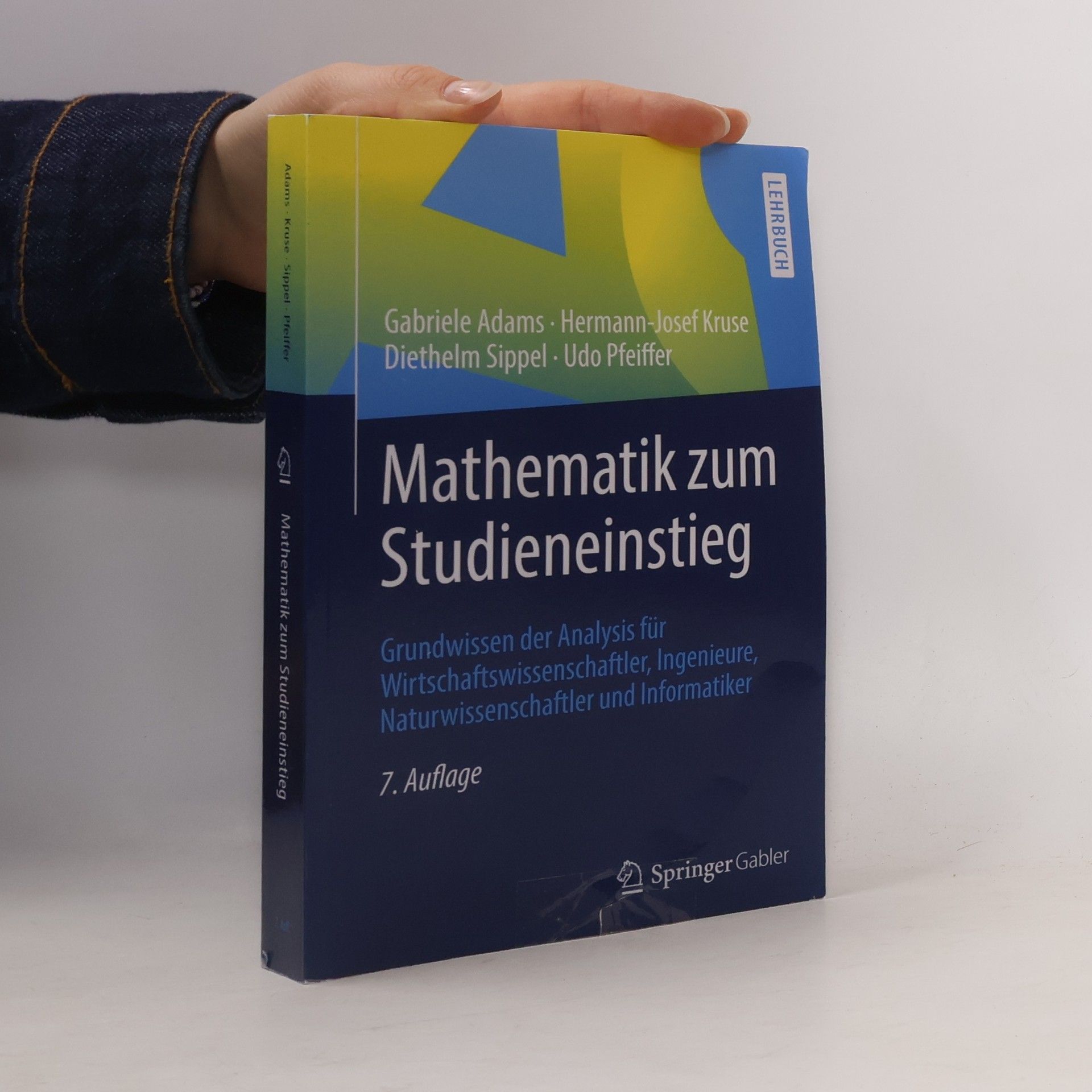 Udo Pfeiffer Springer-lehrbuch: Mathematik zum Studieneinstieg