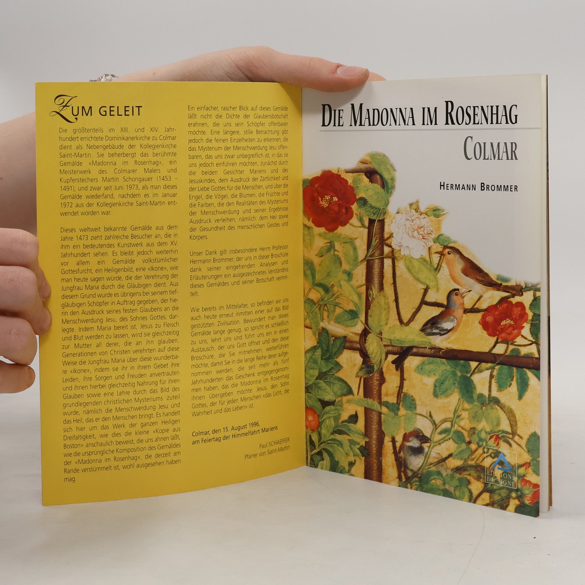 Autorenkollektiv Die Madonna im Rosenhag