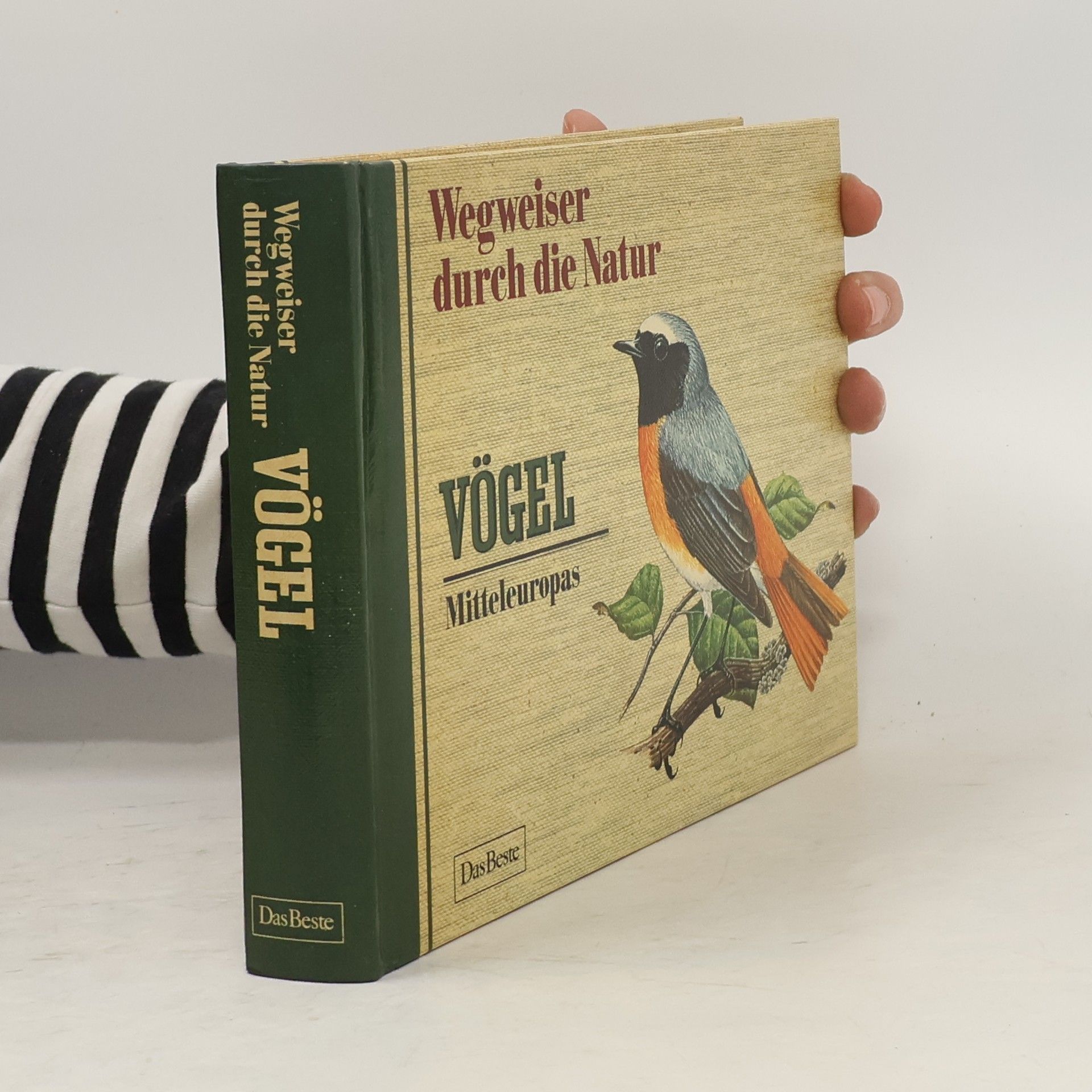 Autores varios Wegweiser durch die Natur. Vögel Mitteleuropas
