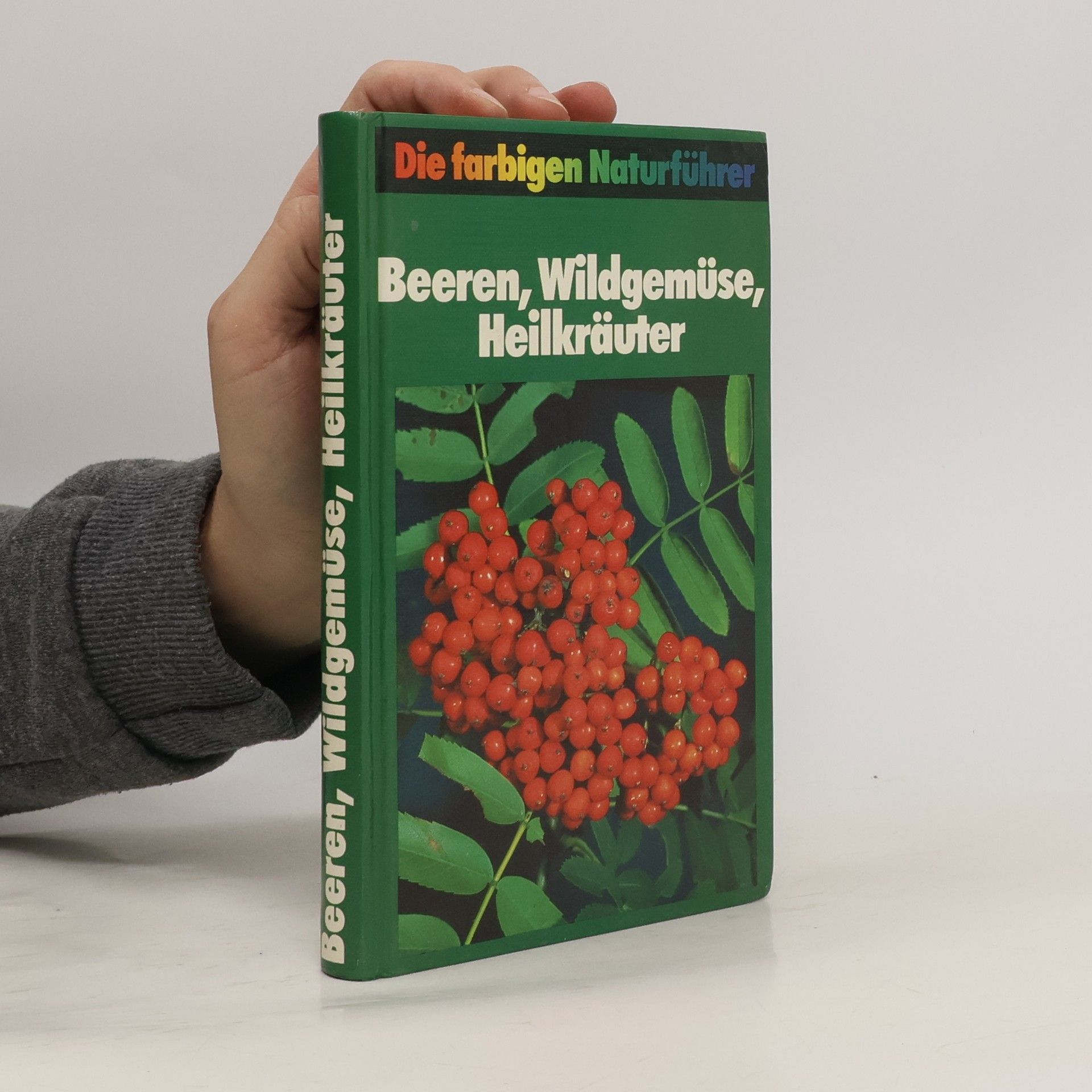 Kolektív autorov Beeren, Wildgemüse, Heilkräuter