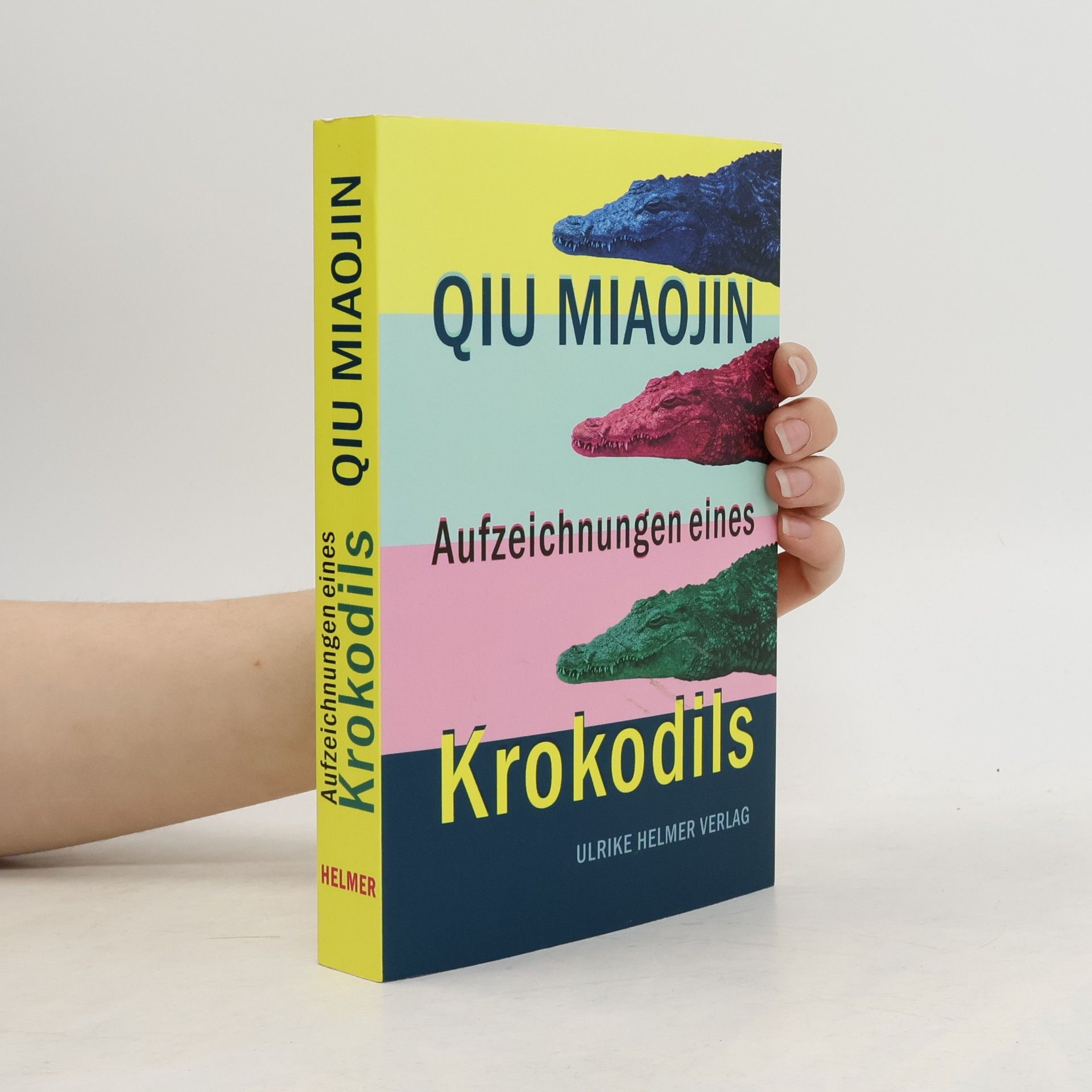 Miaojin Qiu Aufzeichnungen eines Krokodils