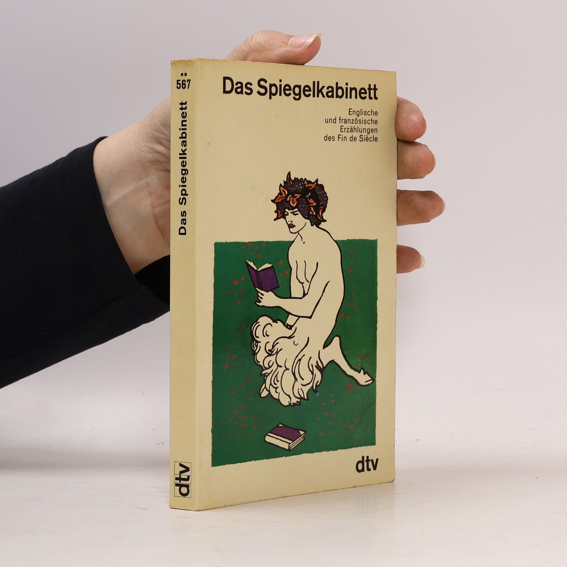 Kolektiv autorů Das Spiegelkabinett