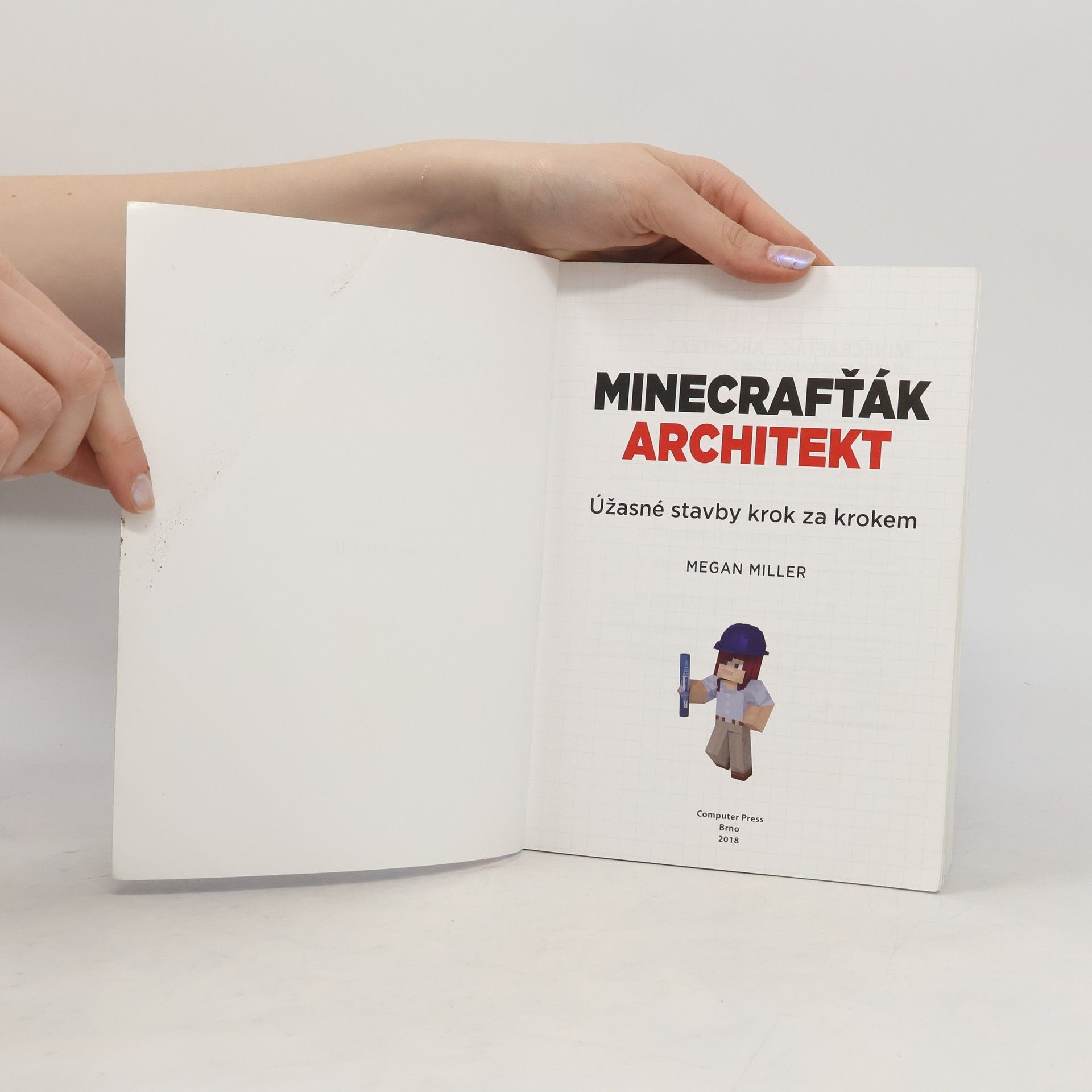 Megan Miller Minecrafťák architekt. Úžasné stavby krok za krokem