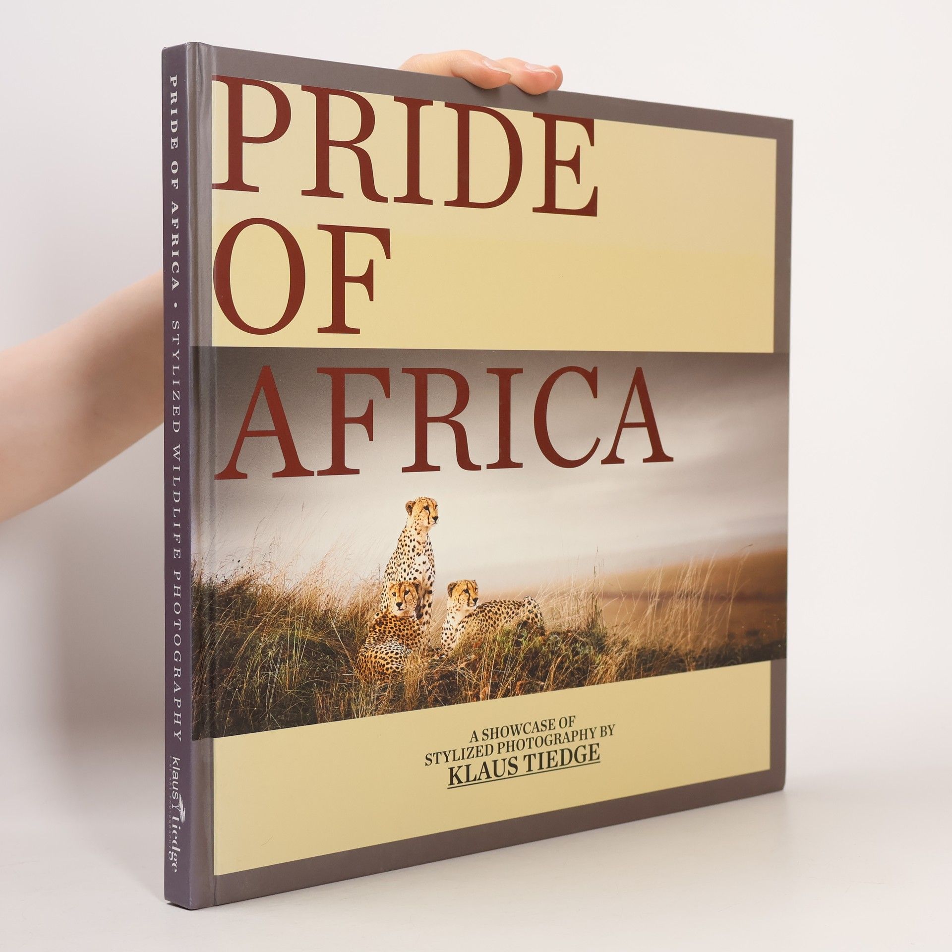 Klaus Tiedge Pride of Africa
