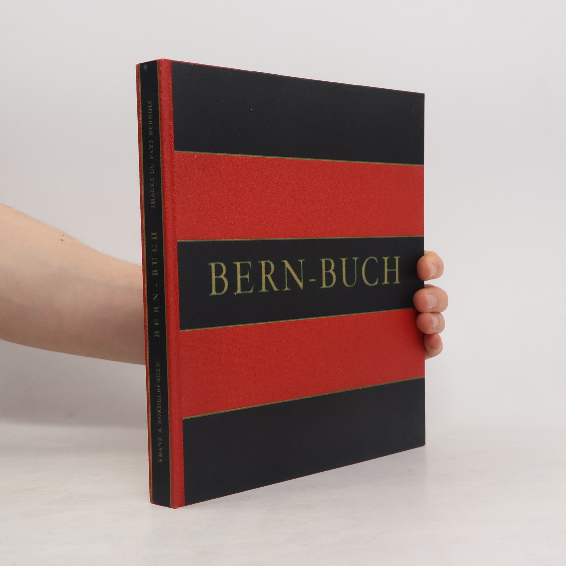 Franz Raedelberger Bern-buch images du pays bernois