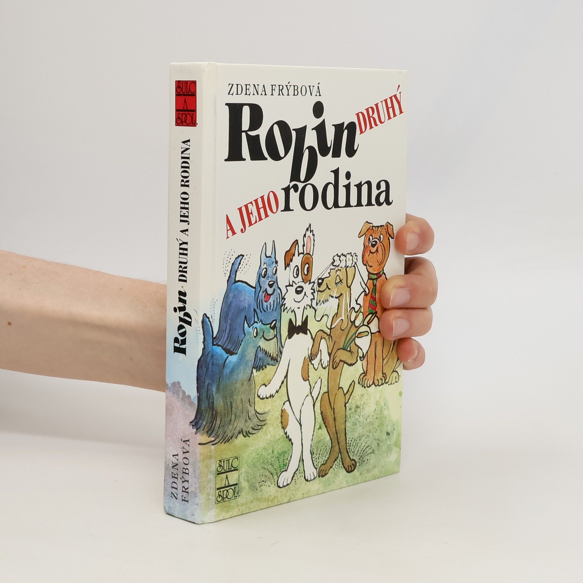 Robin Druhý a jeho rodina