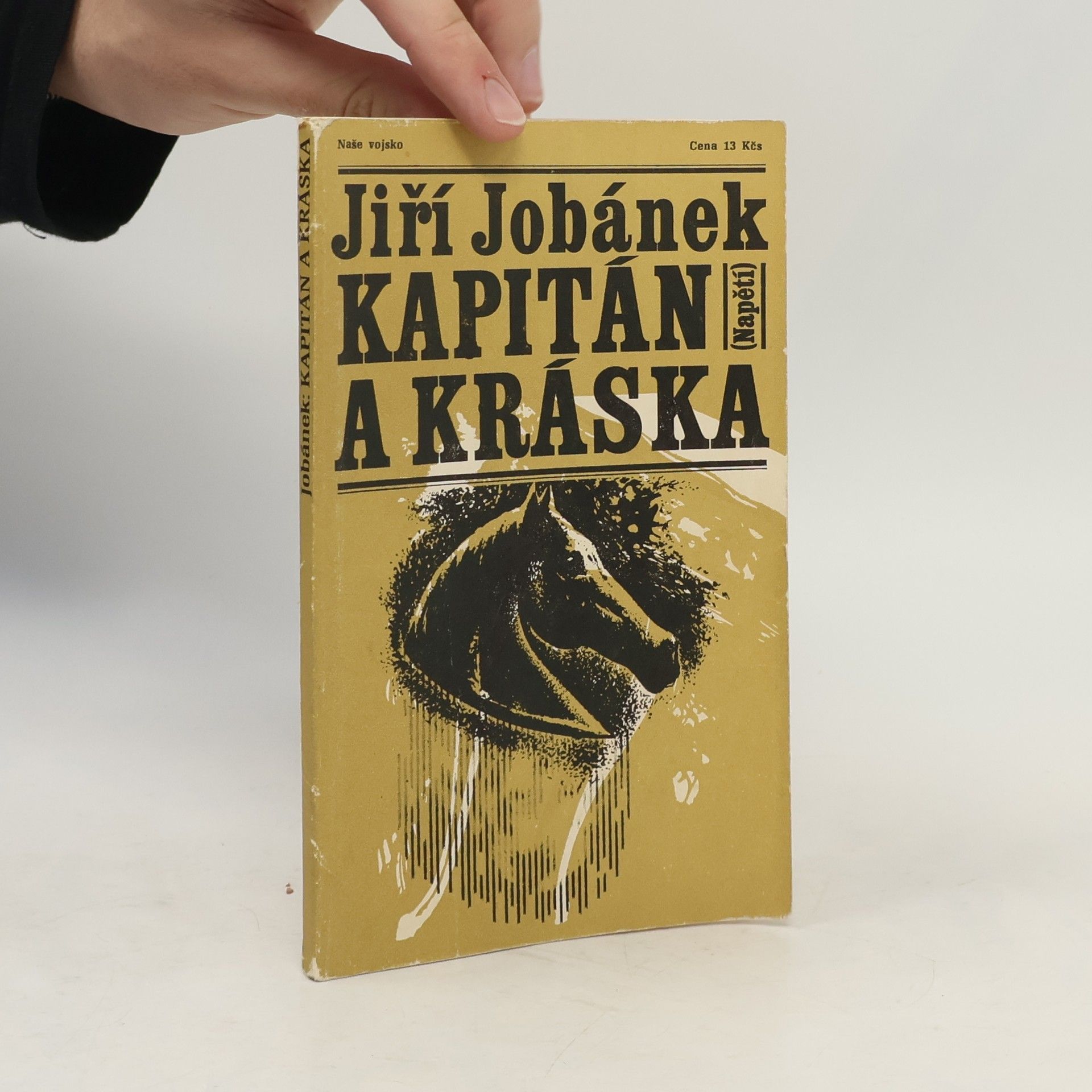 Jiří Jobánek Kapitán a kráska