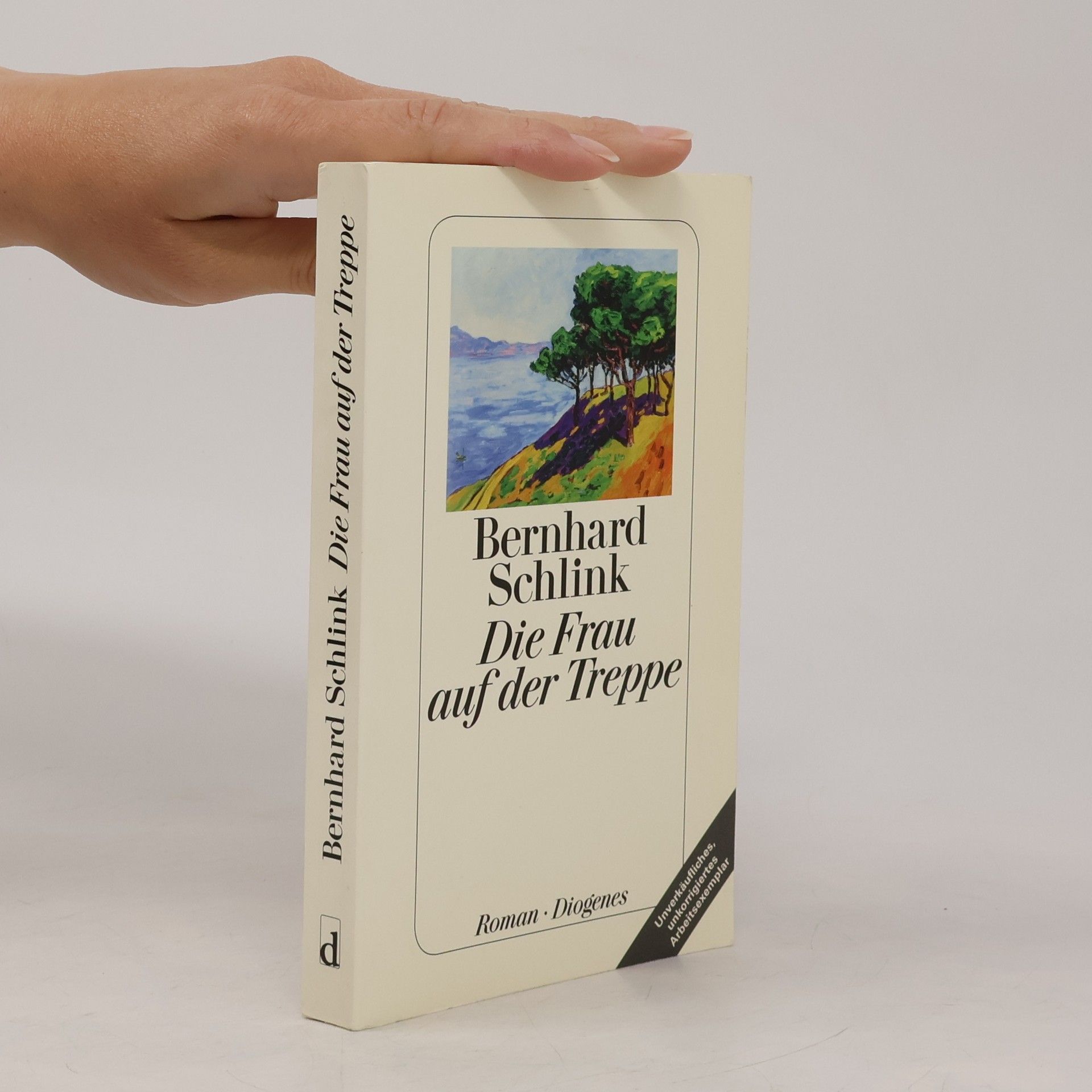 Bernhard Schlink Die Frau auf der Treppe