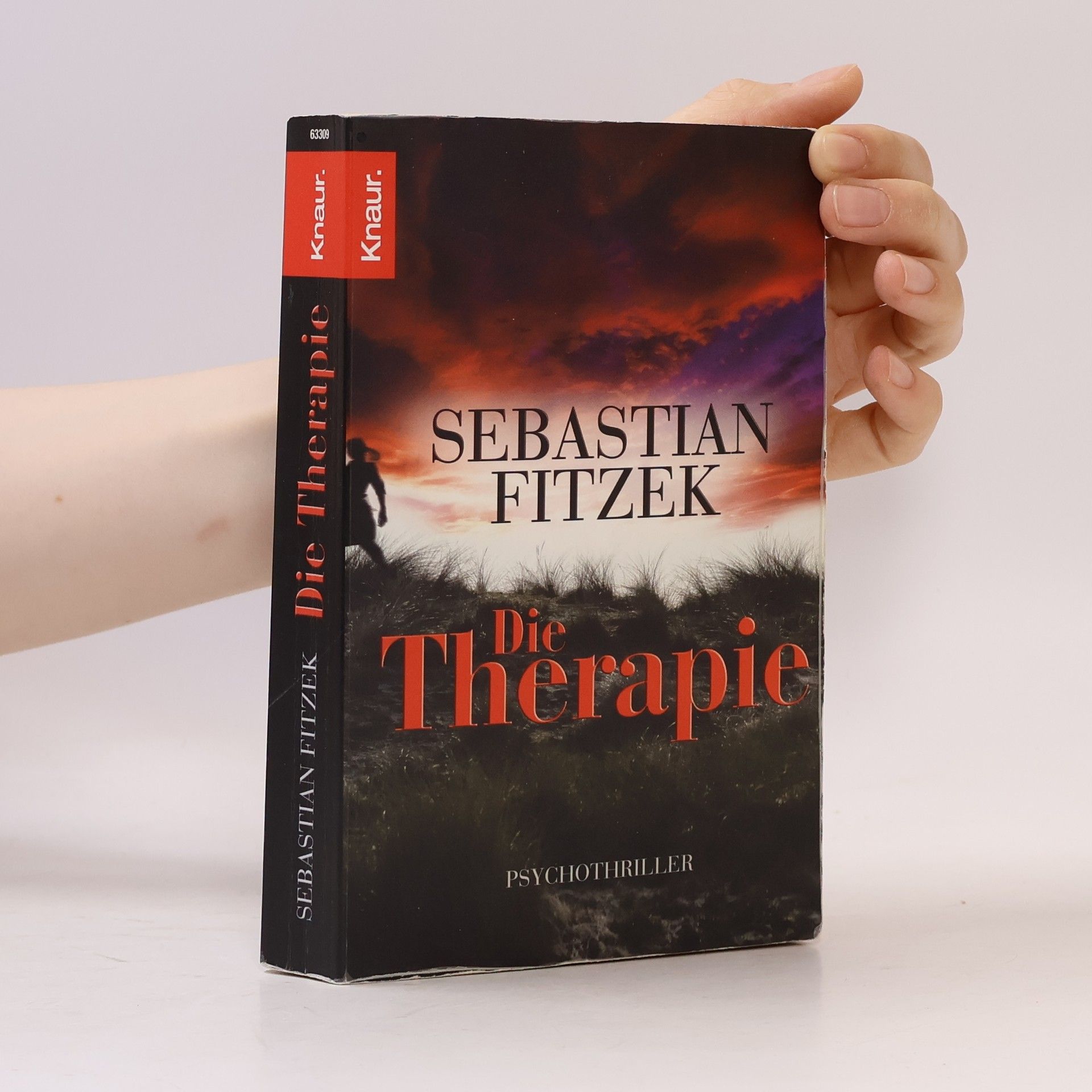 Sebastian Fitzek Die Therapie