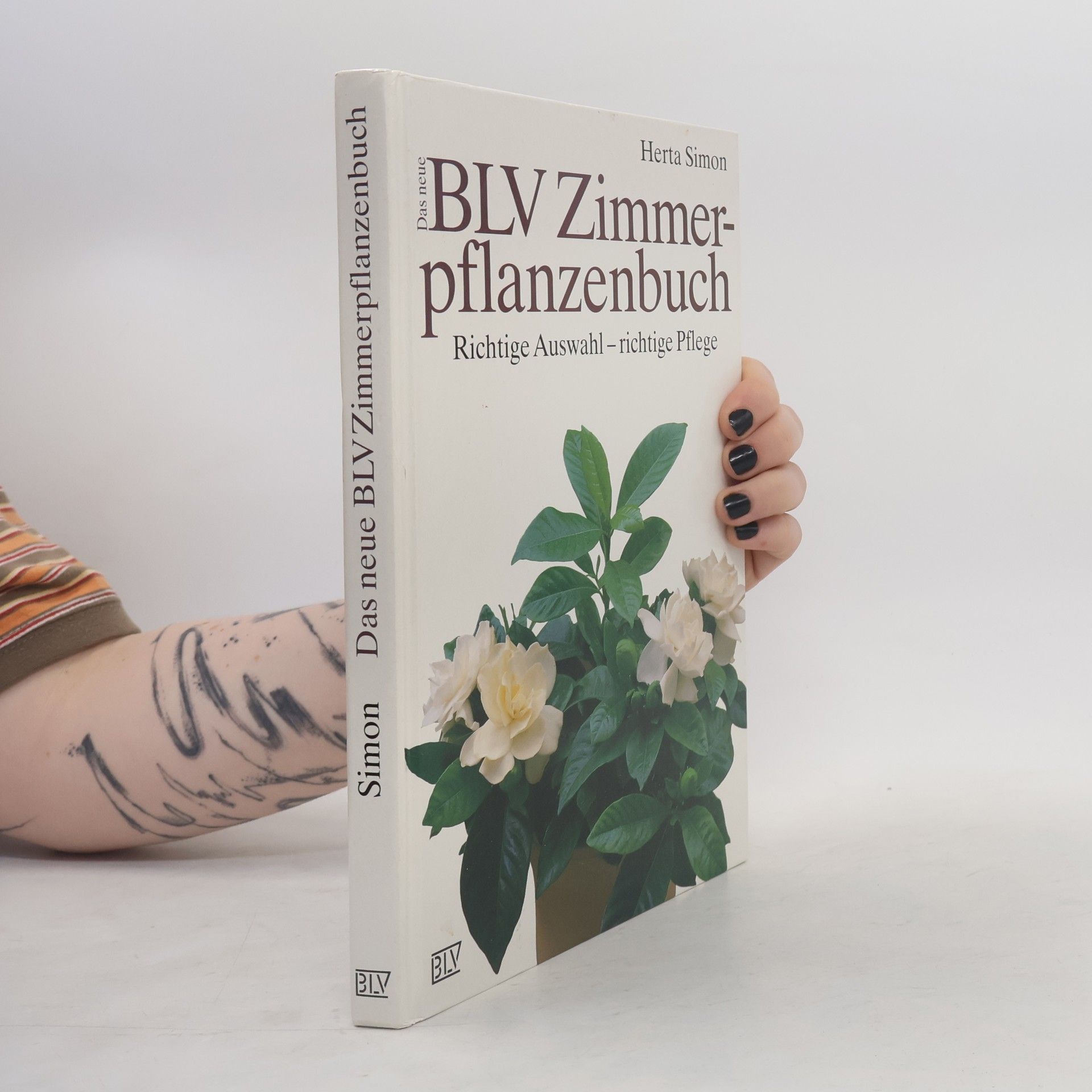 Herta Simon Das neue BLV-Zimmerpflanzenbuch