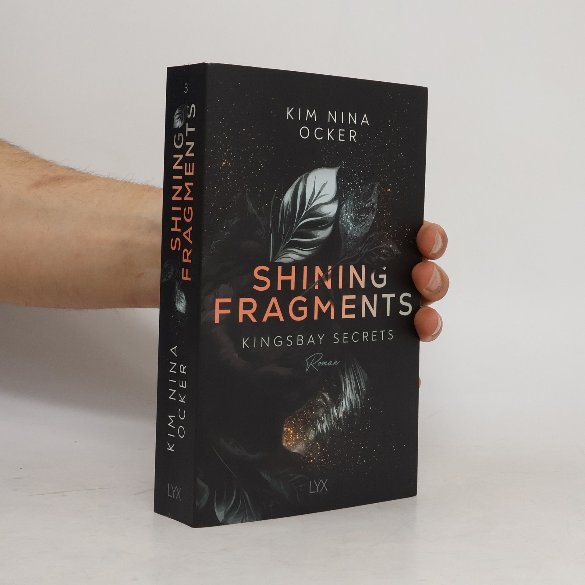 Kim Nina Ocker Shining Fragments