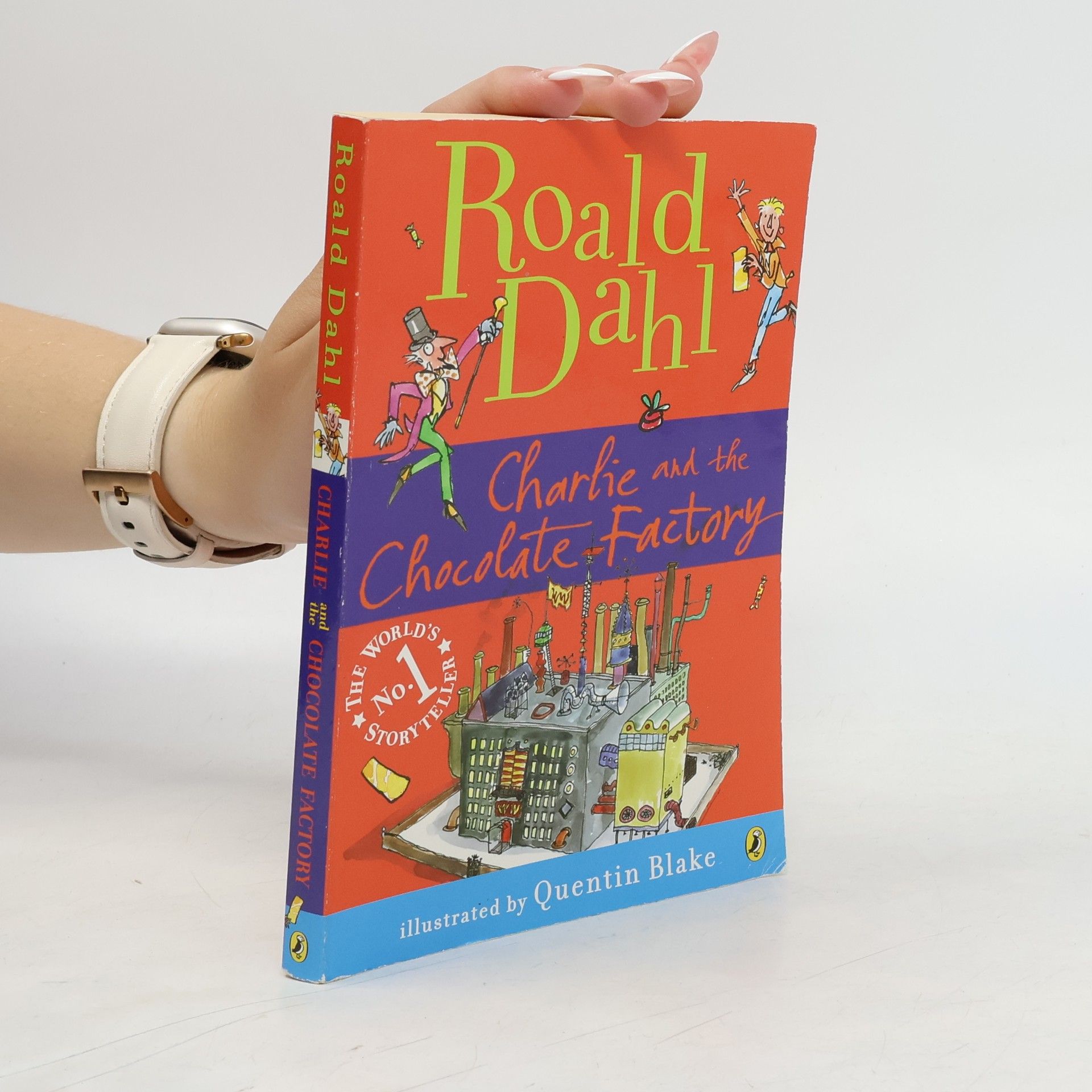 Roald Dahl Charlie and the Chocolate Factory