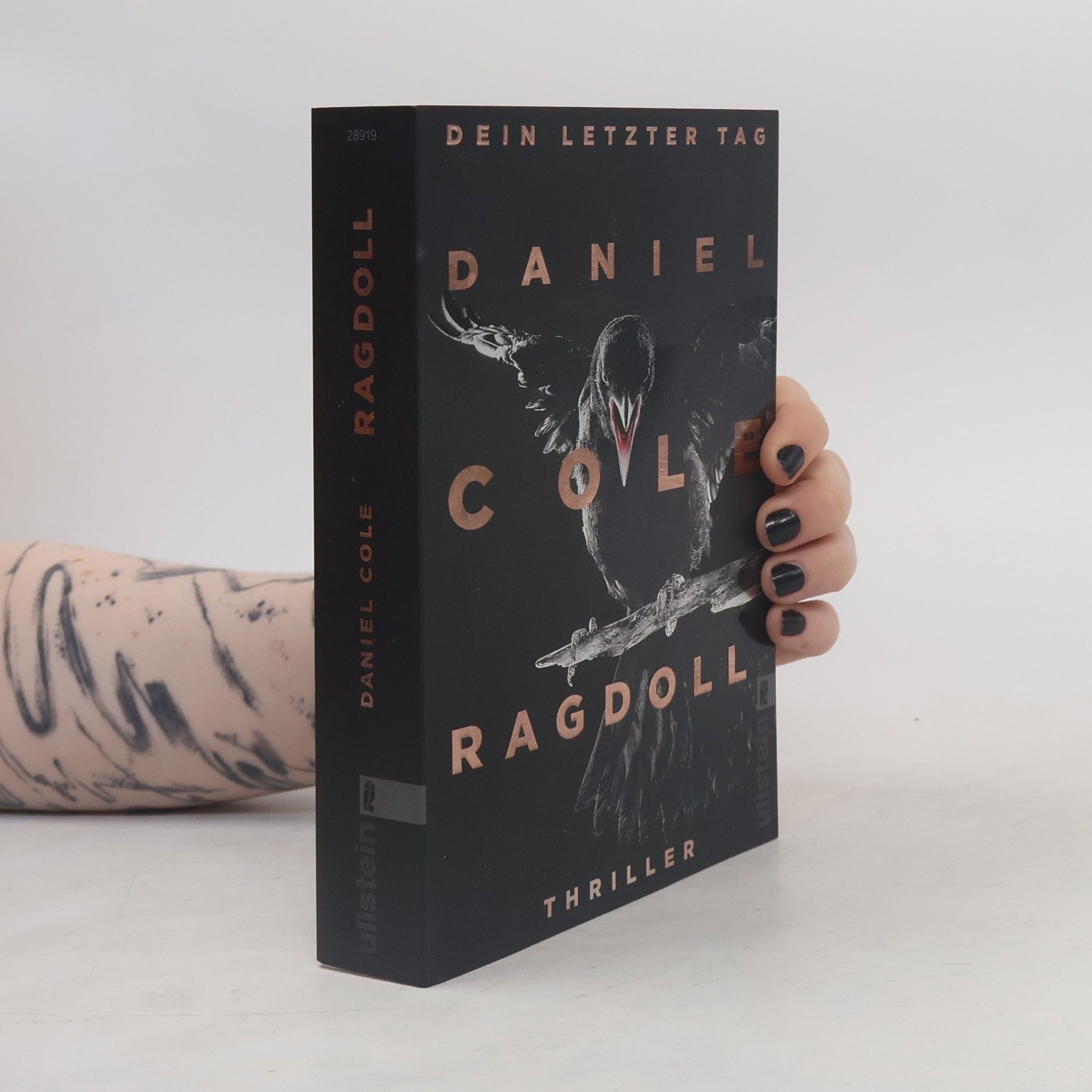 Ragdoll