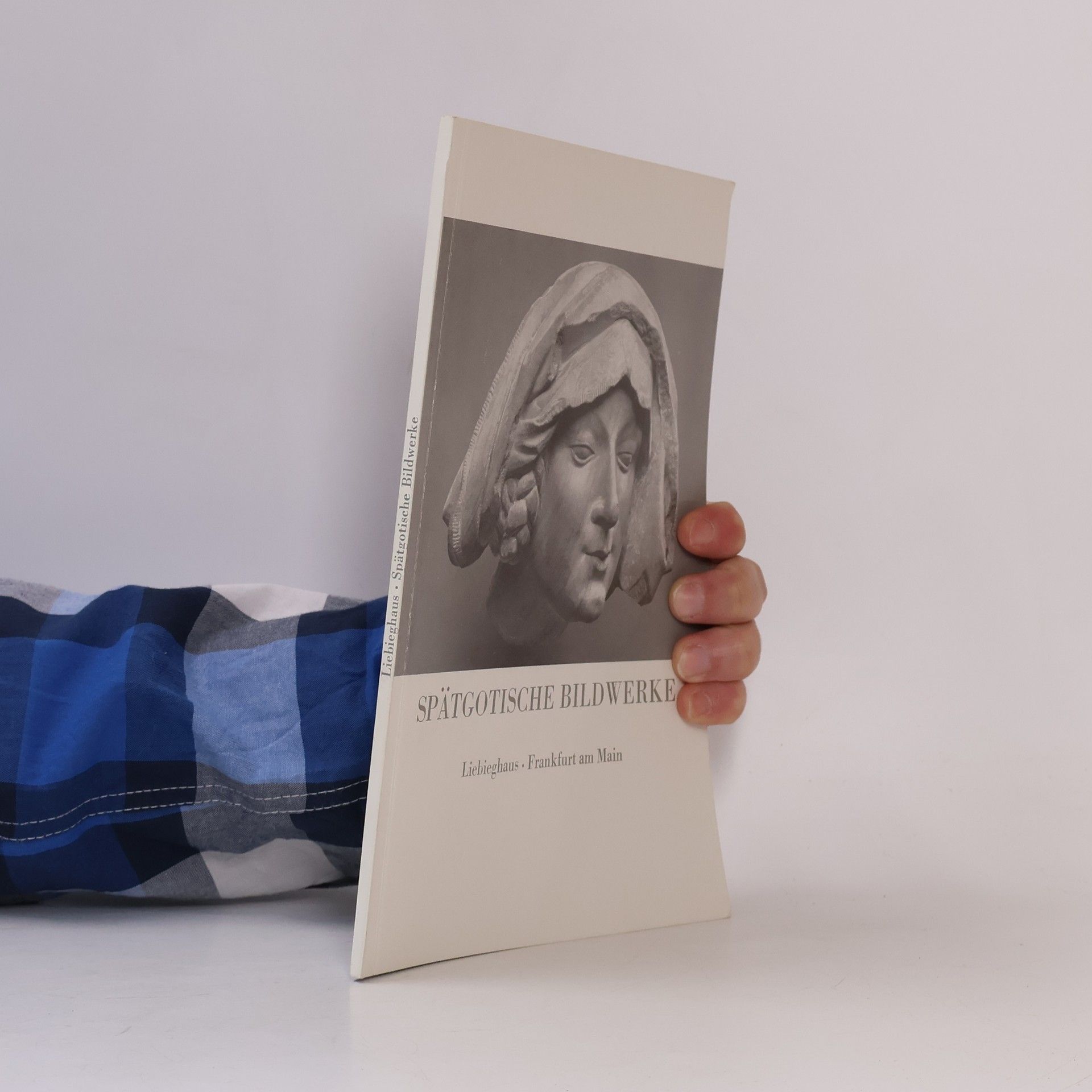 Autorenkollektiv Spätgotische Bildwerke aus dem Liebieghaus