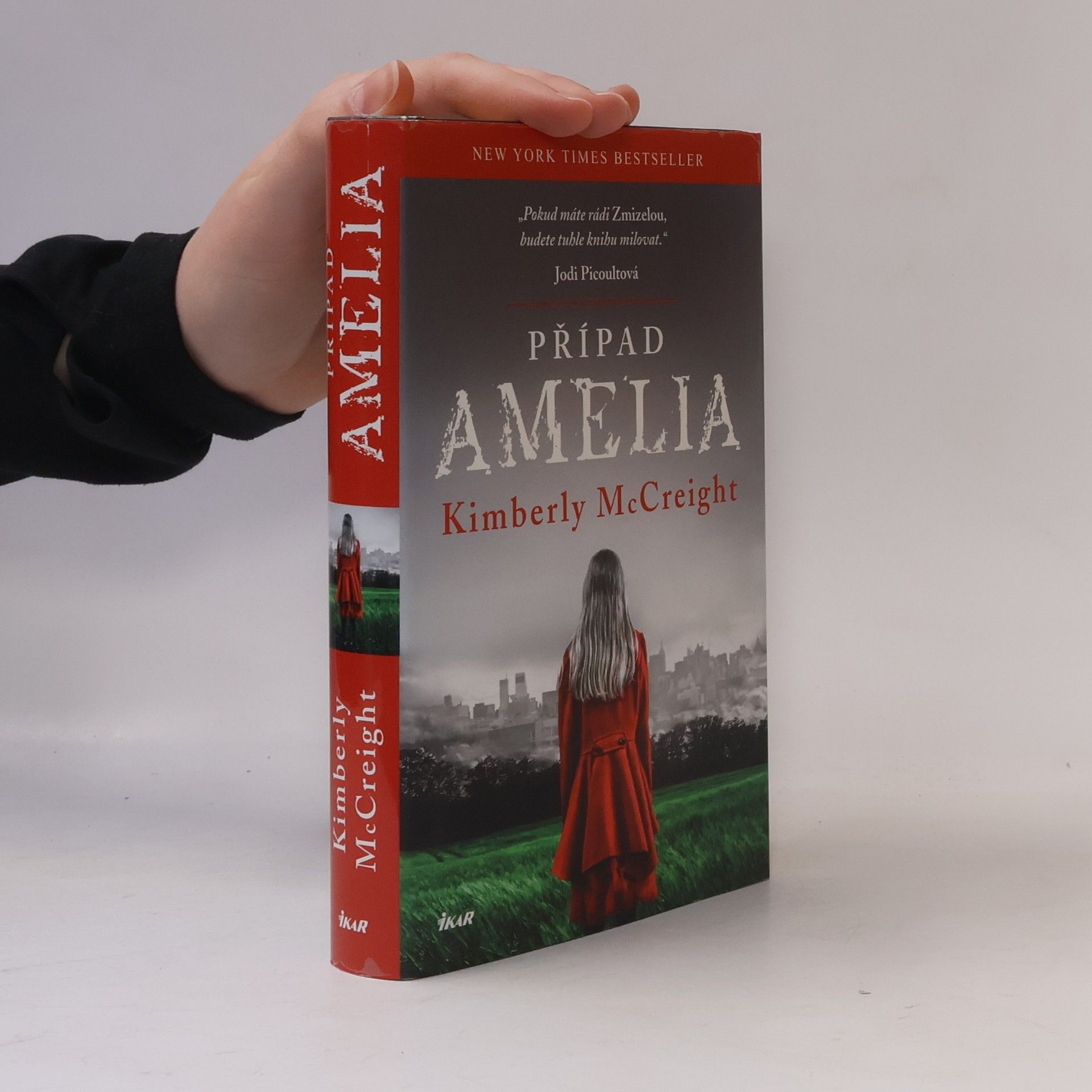 Kimberly McCreight Případ Amelia