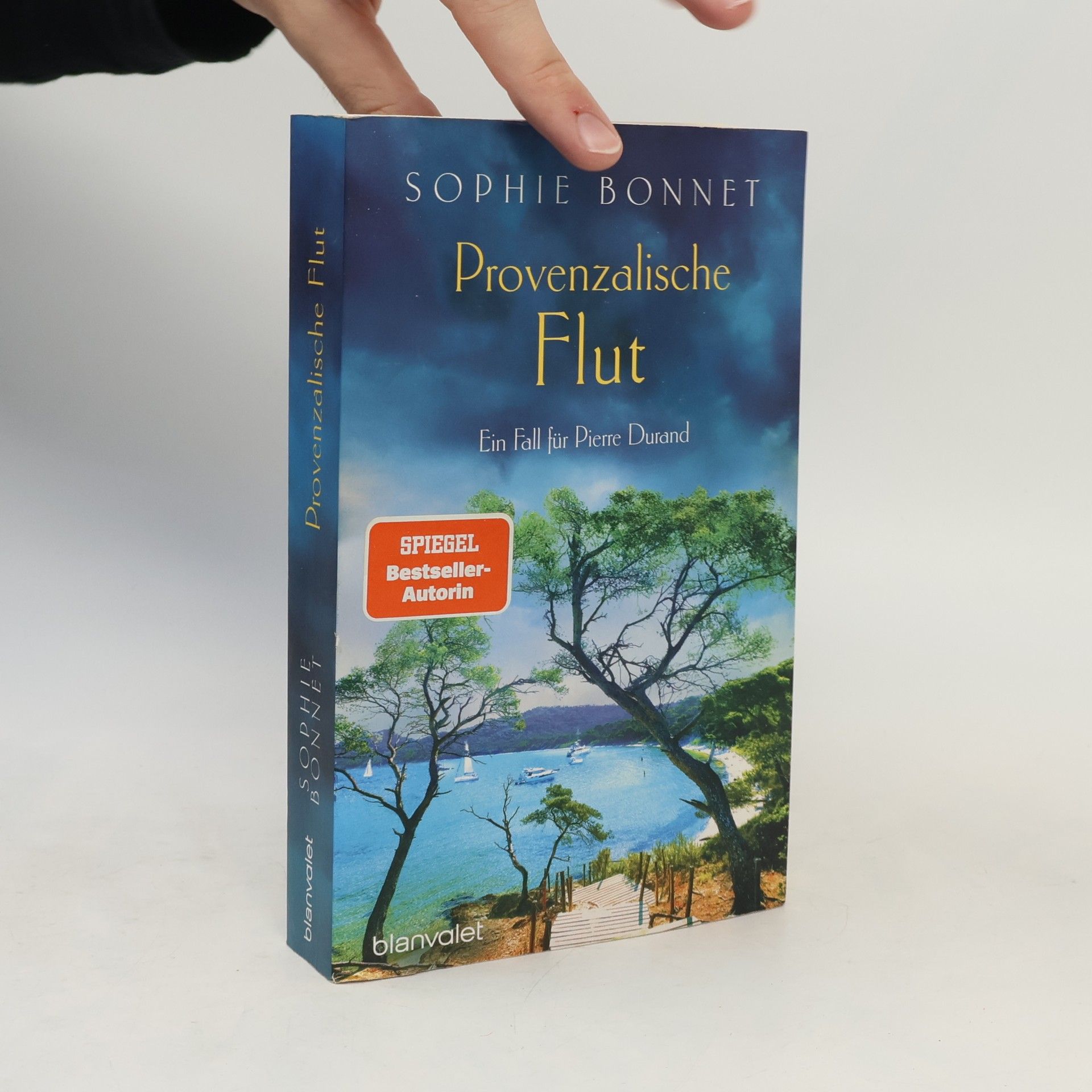 Sophie Bonnet Provenzalische Flut