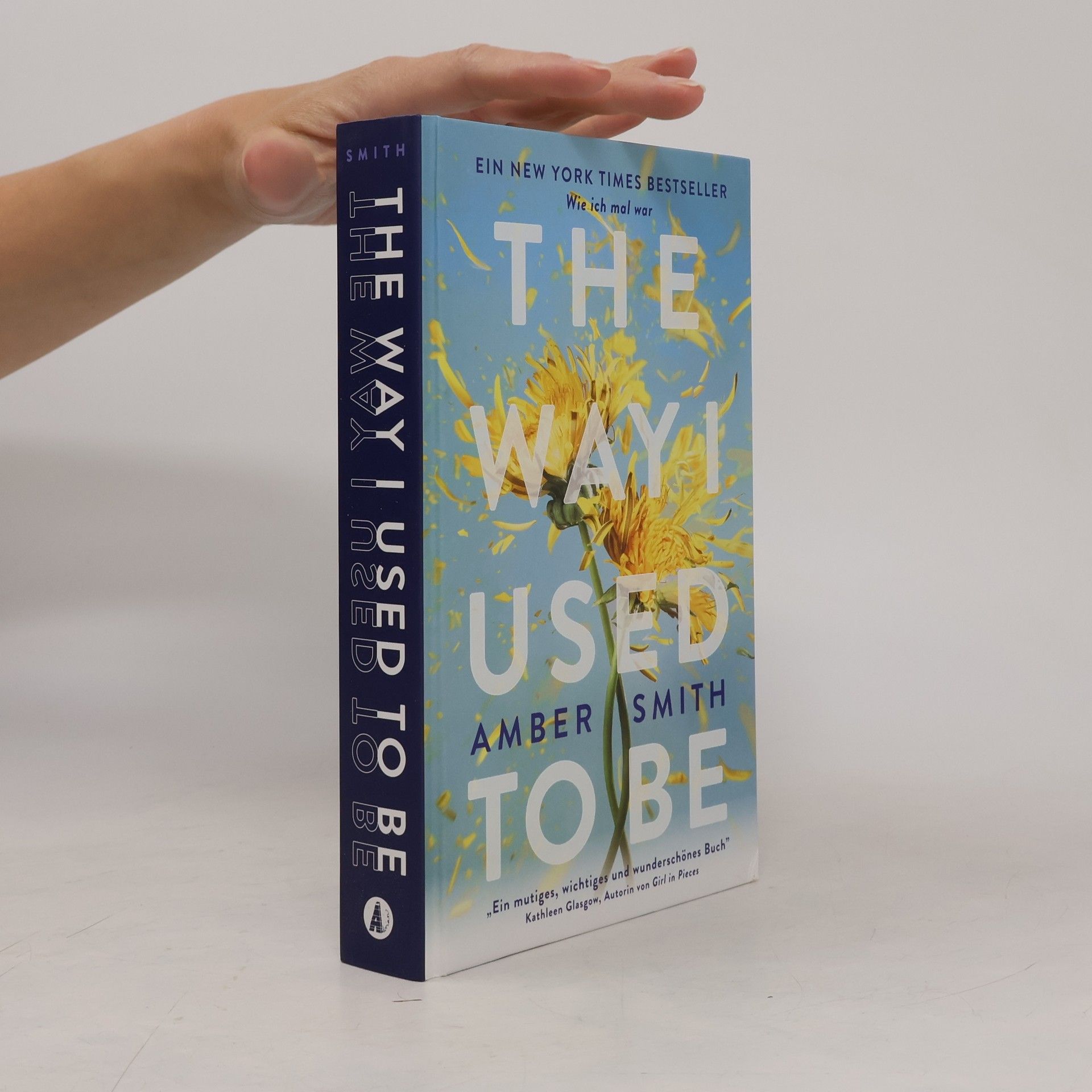Amber Smith Wie ich mal war. The Way I Used to Be