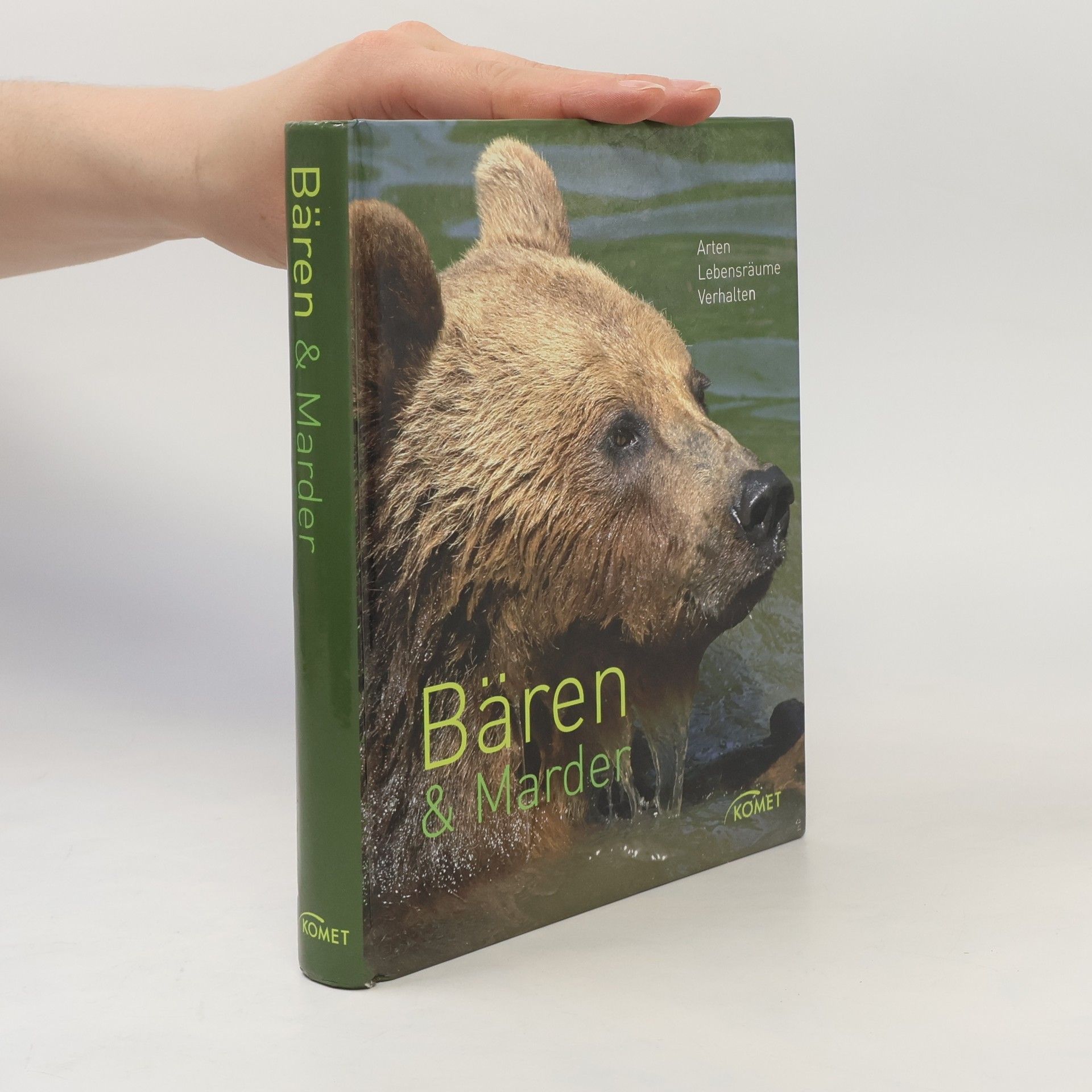 Bären und Marder