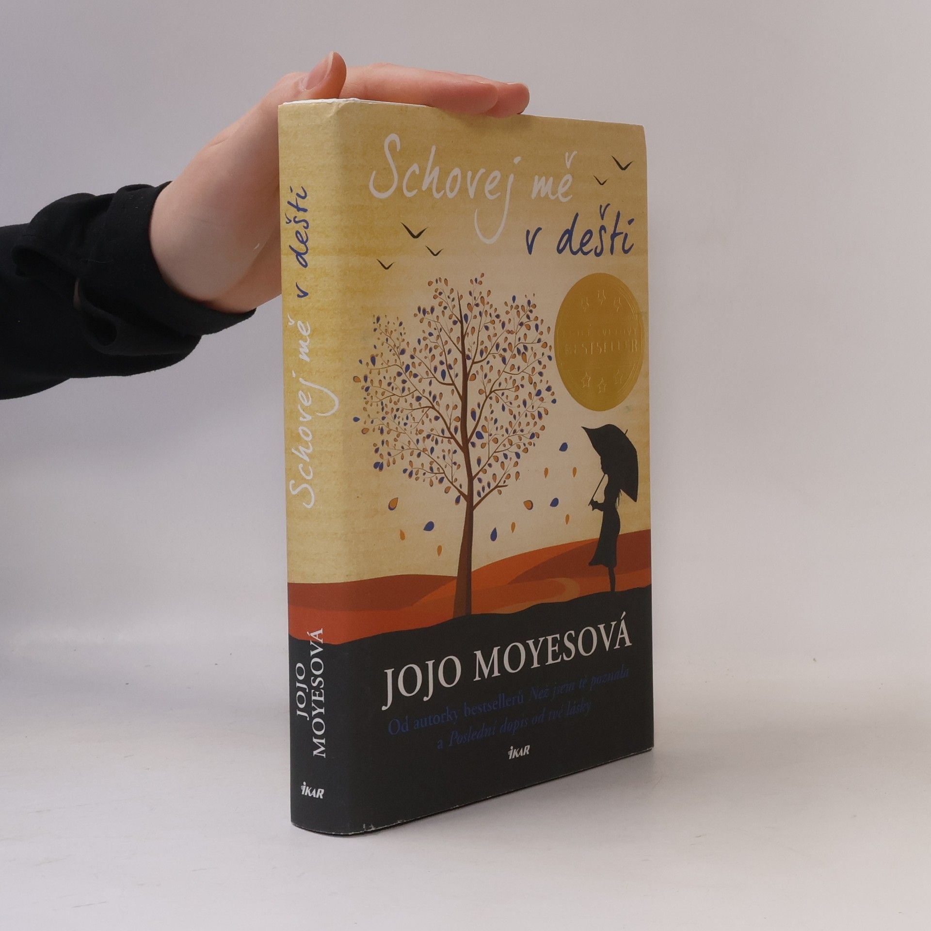 Jojo Moyes Schovej mě v dešti