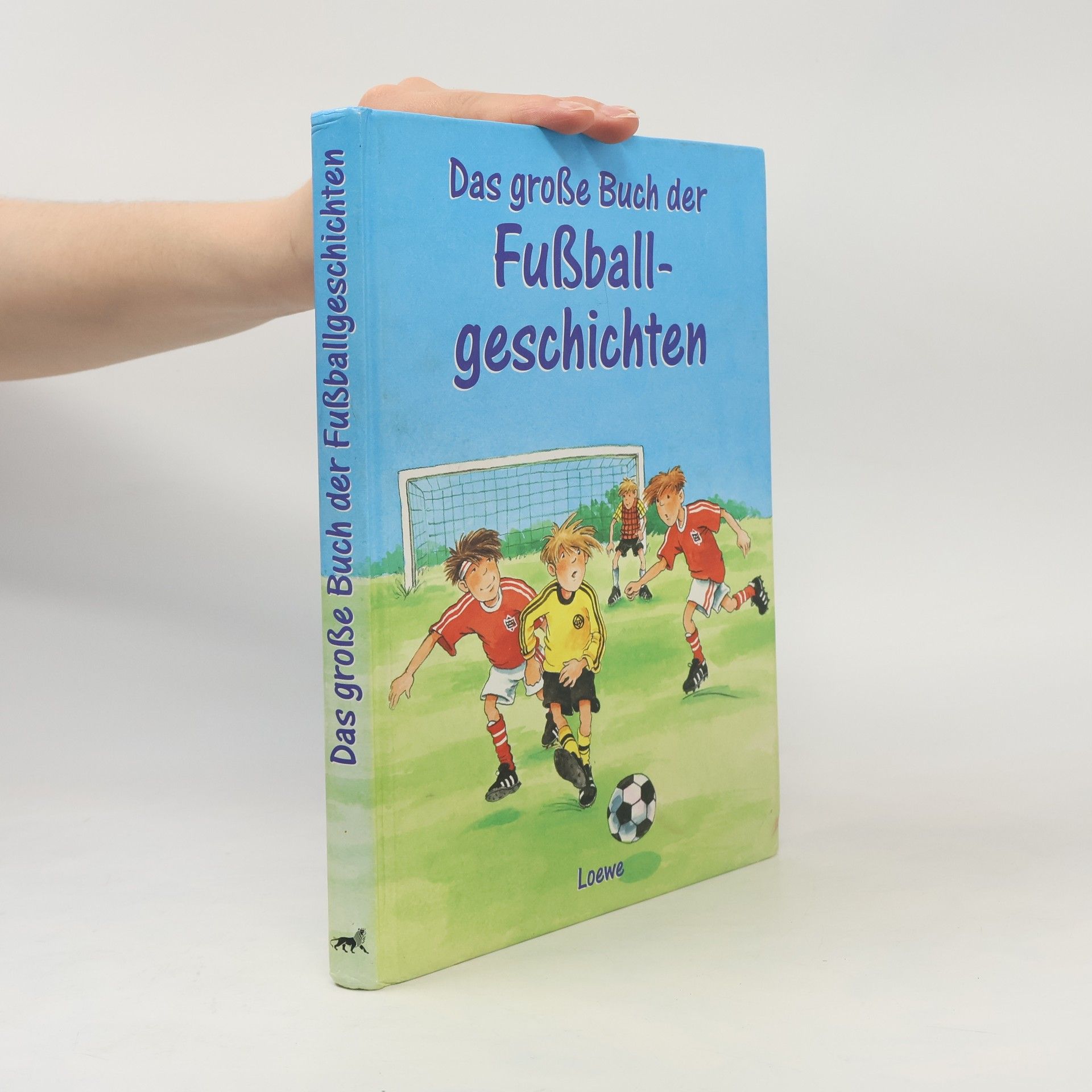 Kolektiv autorů Das große Buch der Fußballgeschichten