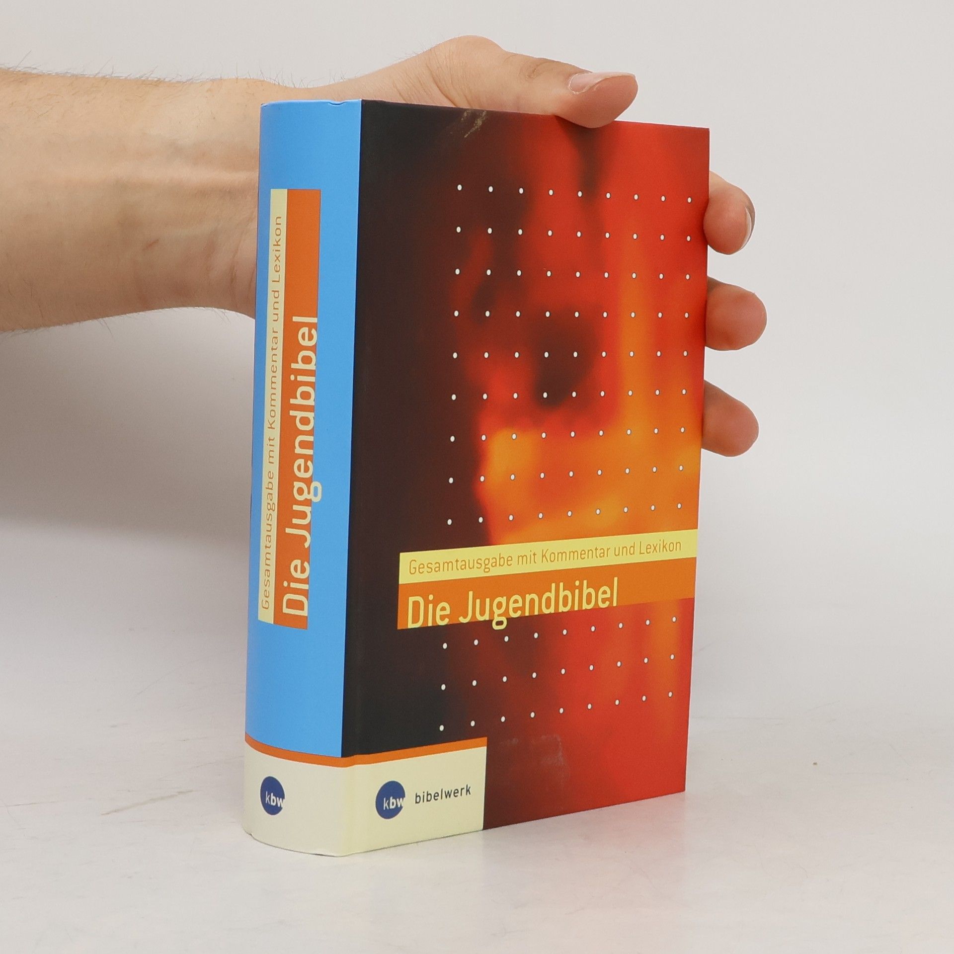 Rainer Dillmann Die Jugendbibel