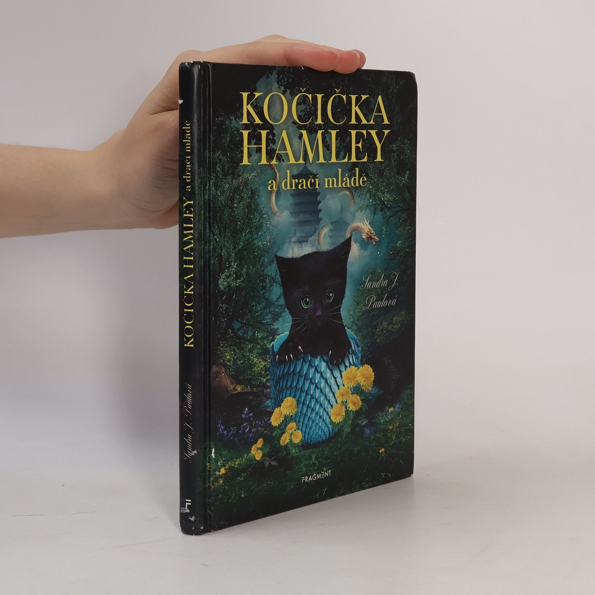 Sandra E Hockenbury Kočička Hamley a dračí mládě