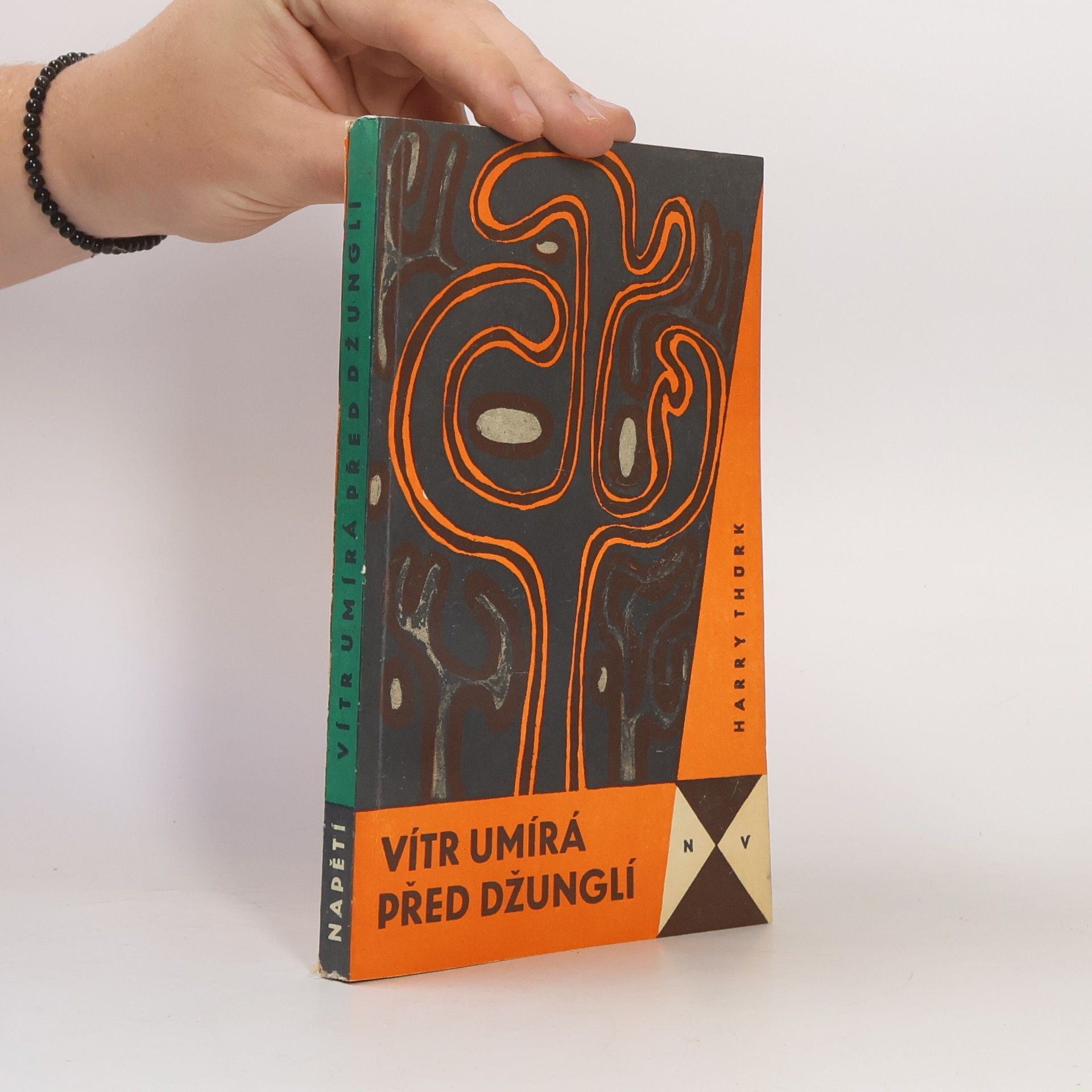 Harry Thürk Vítr umírá před džunglí