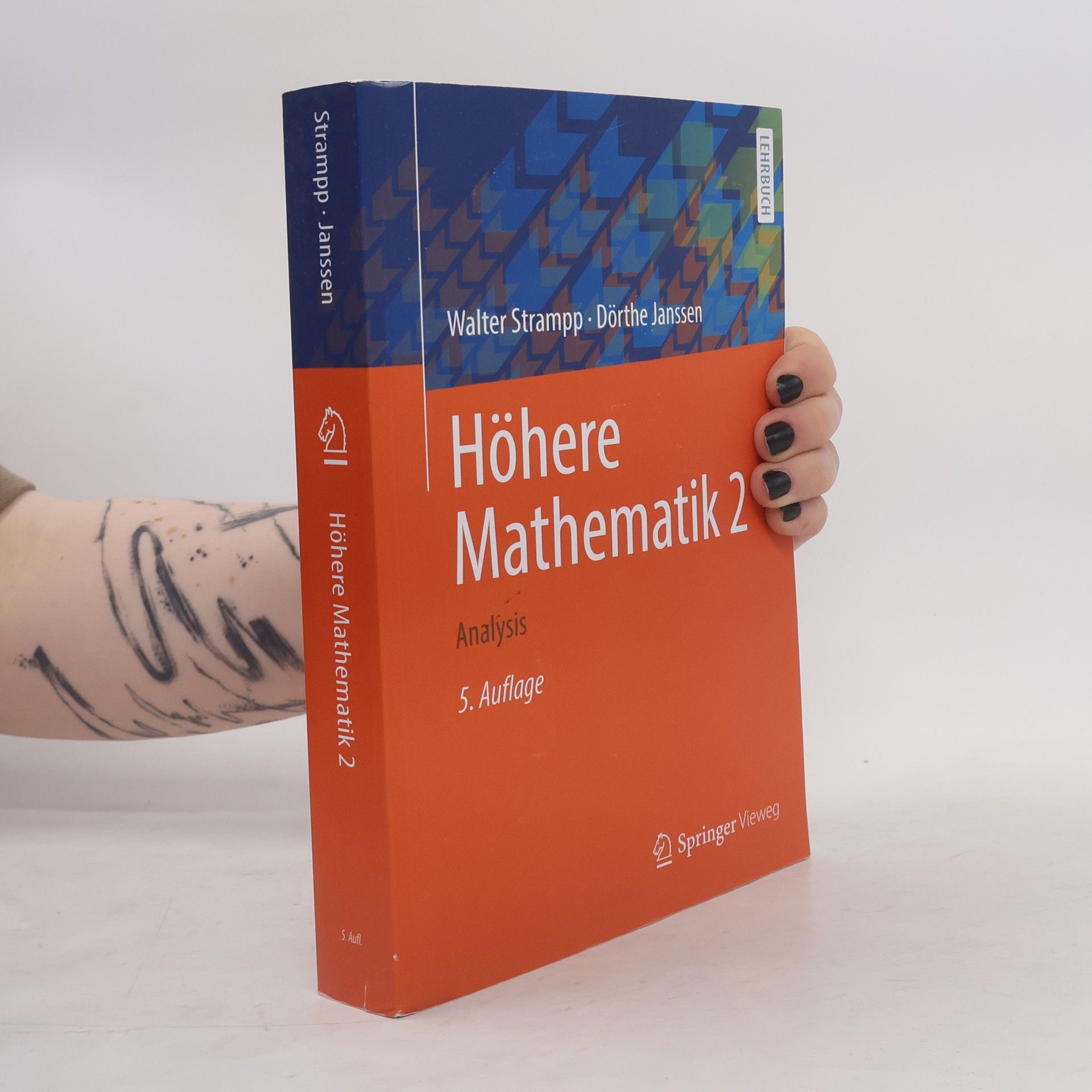 Walter Strampp Höhere Mathematik 2