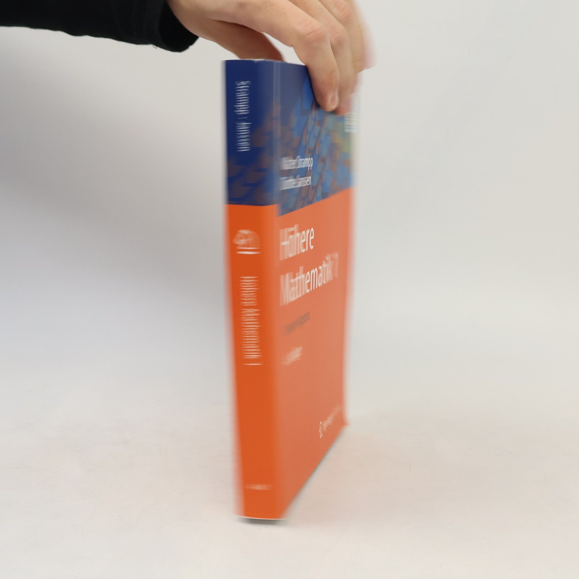 Walter Strampp Höhere Mathematik 1