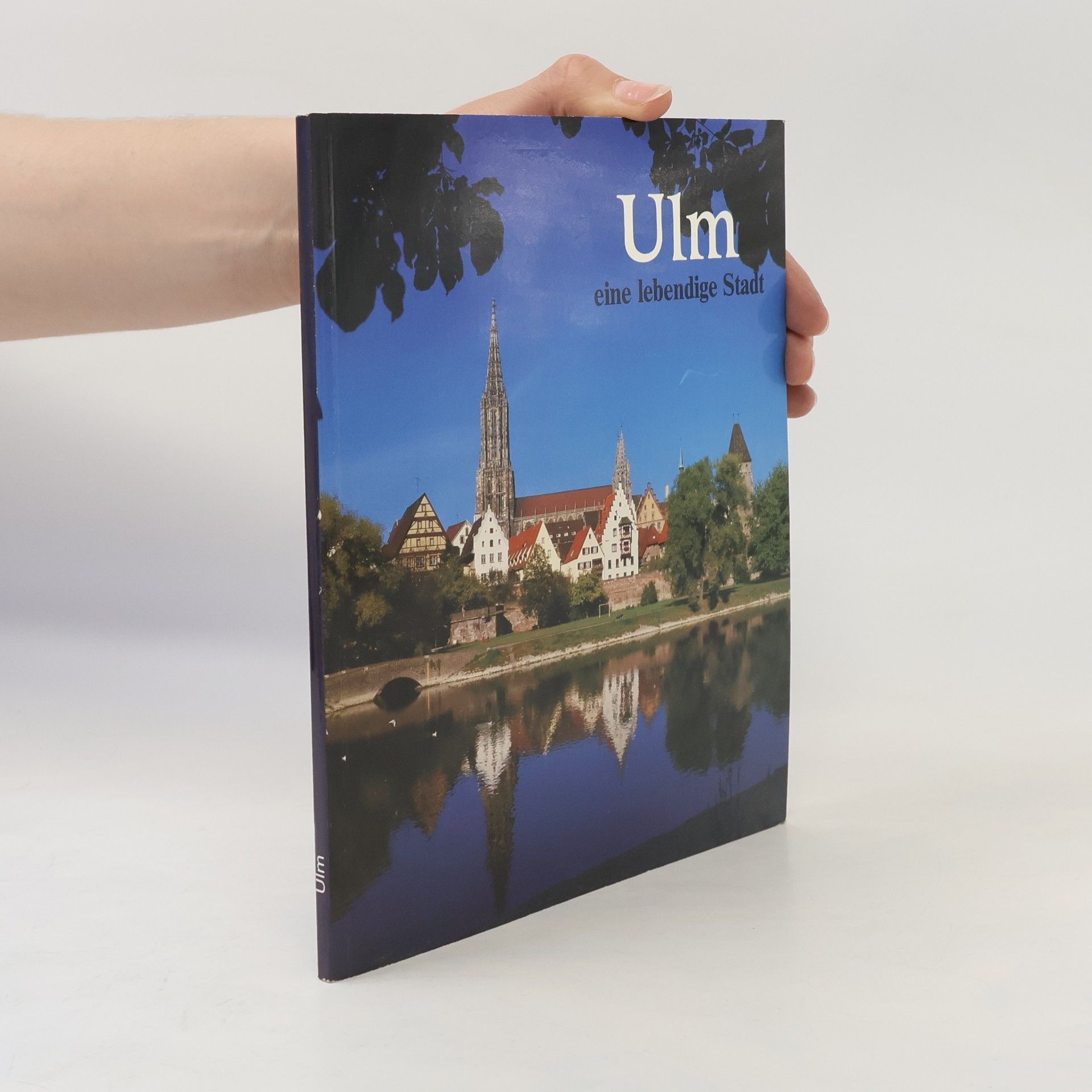 Autores varios Ulm, eine lebendige Stadt.