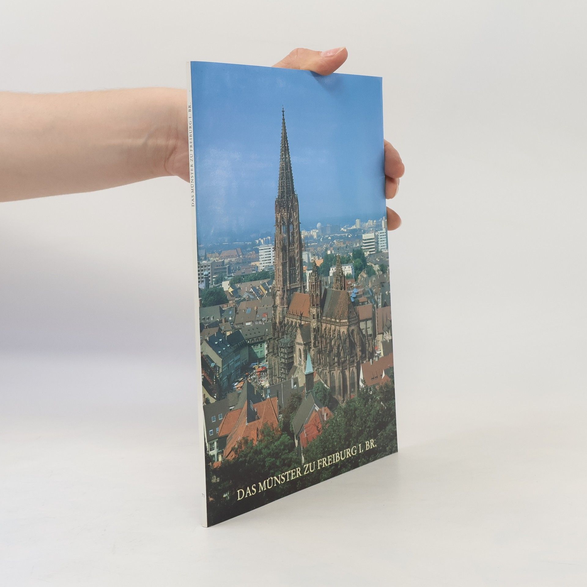 Hermann Gombert Das Münster "Unser Lieben Frau", Freiburg im Breisgau