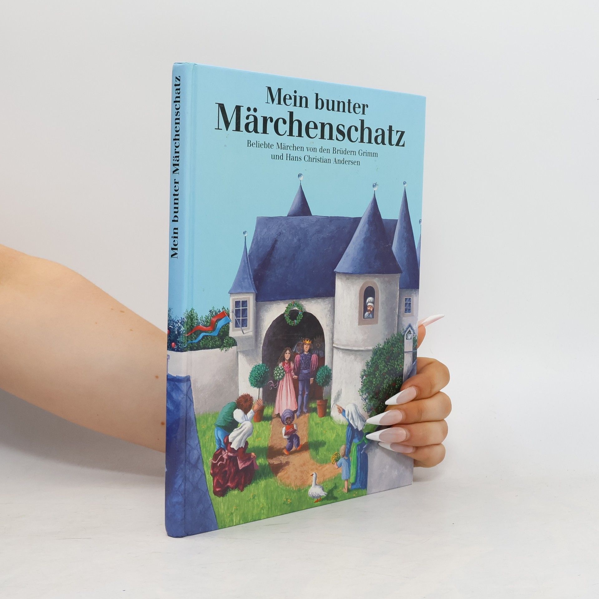 Hans-Christian Andersen Mein bunter Märchenschatz