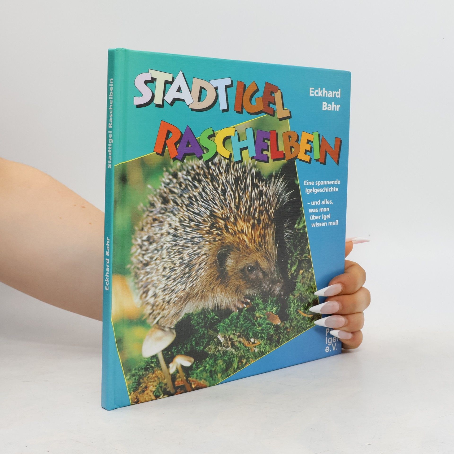 Stadtigel Raschelbein