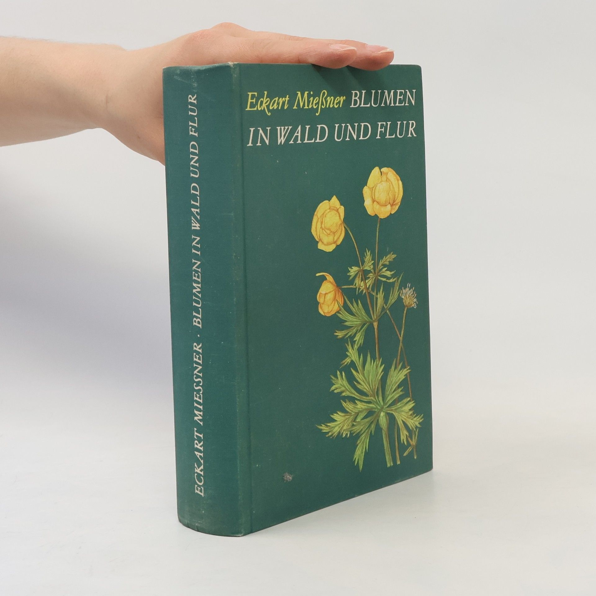 Eckart Miessner Blumen in Wald und Flur