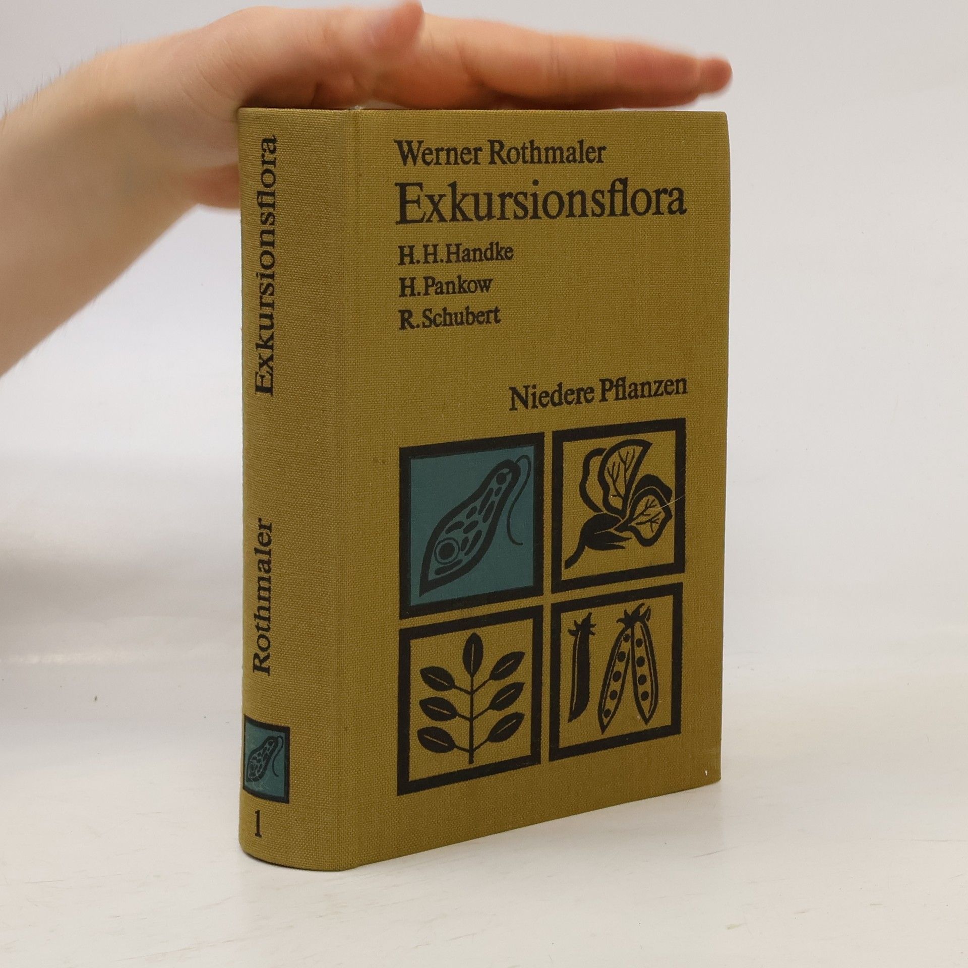 Exkursionsflora 1