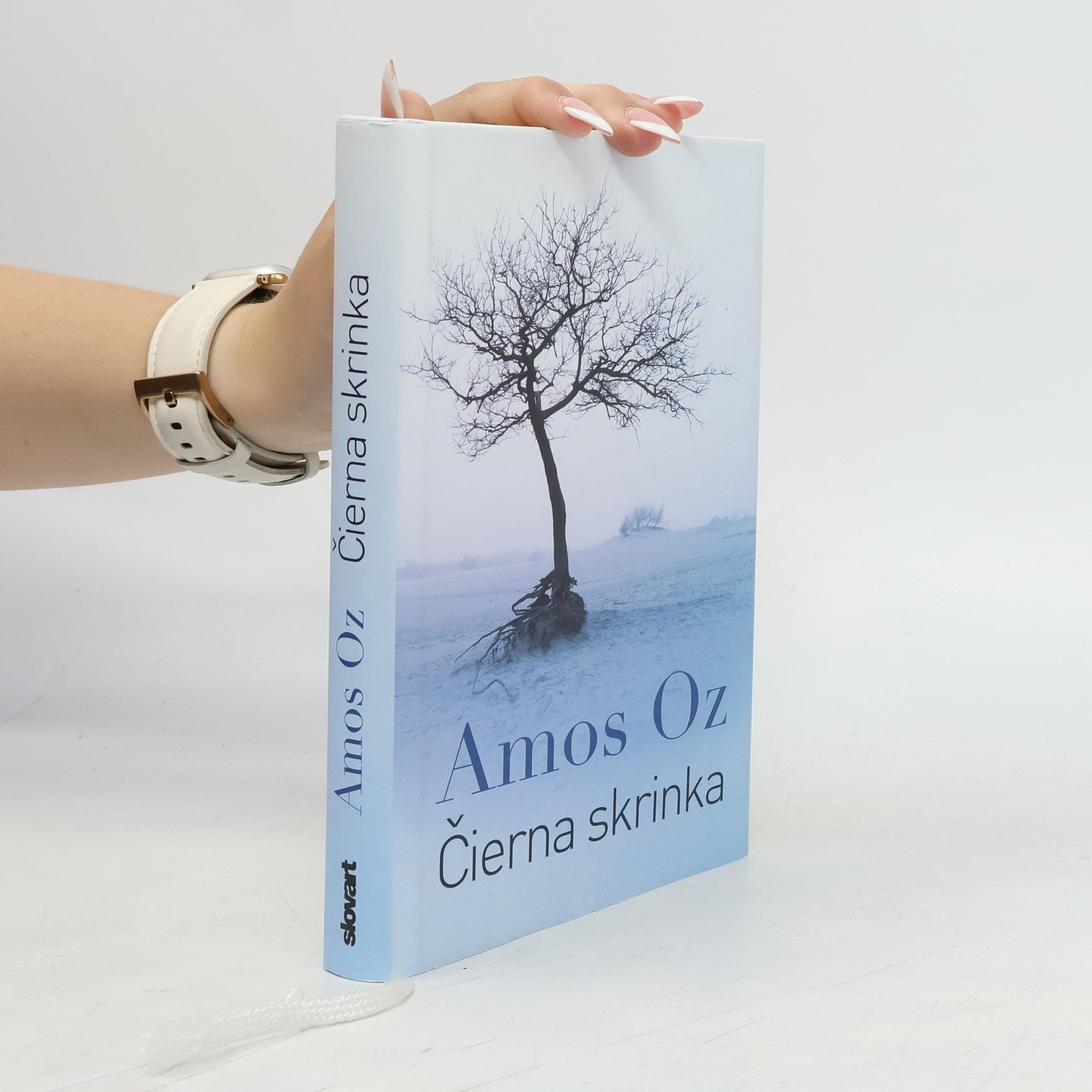 Amos Oz Čierna skrinka