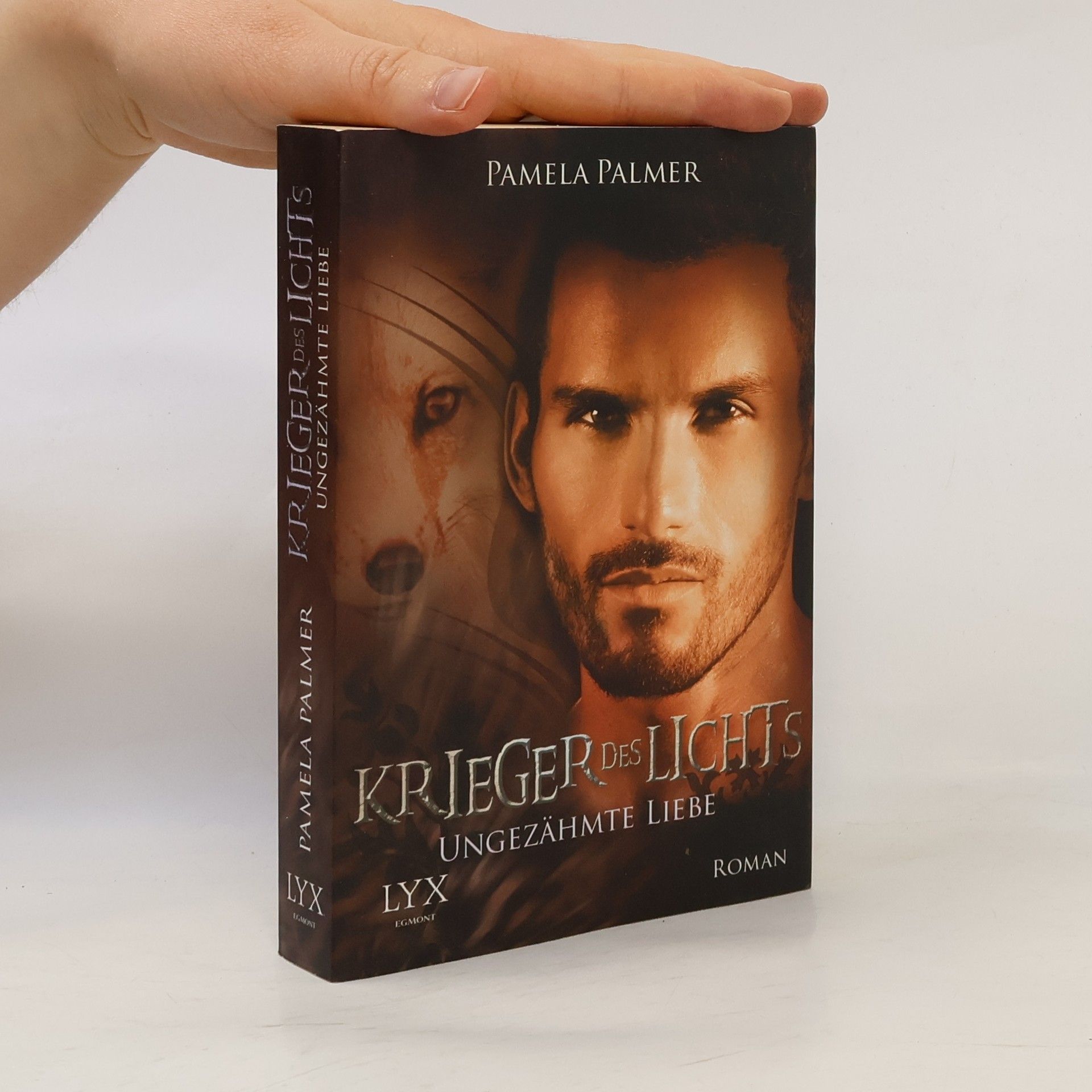 Pamela Palmer Krieger des Lichts 7