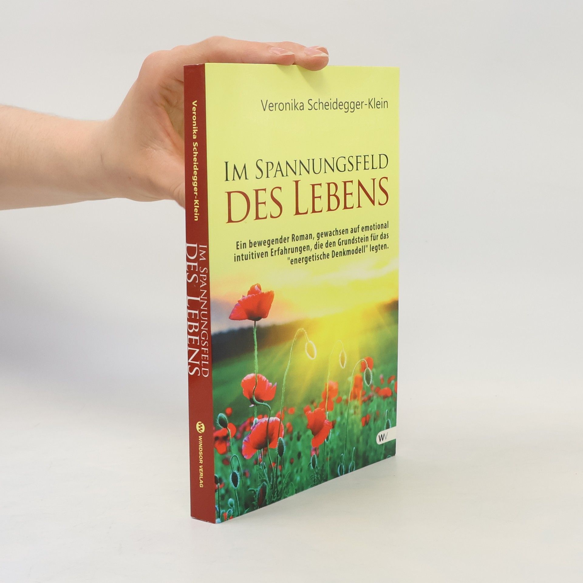 Veronika Scheidegger Klein Im Spannungsfeld des Lebens