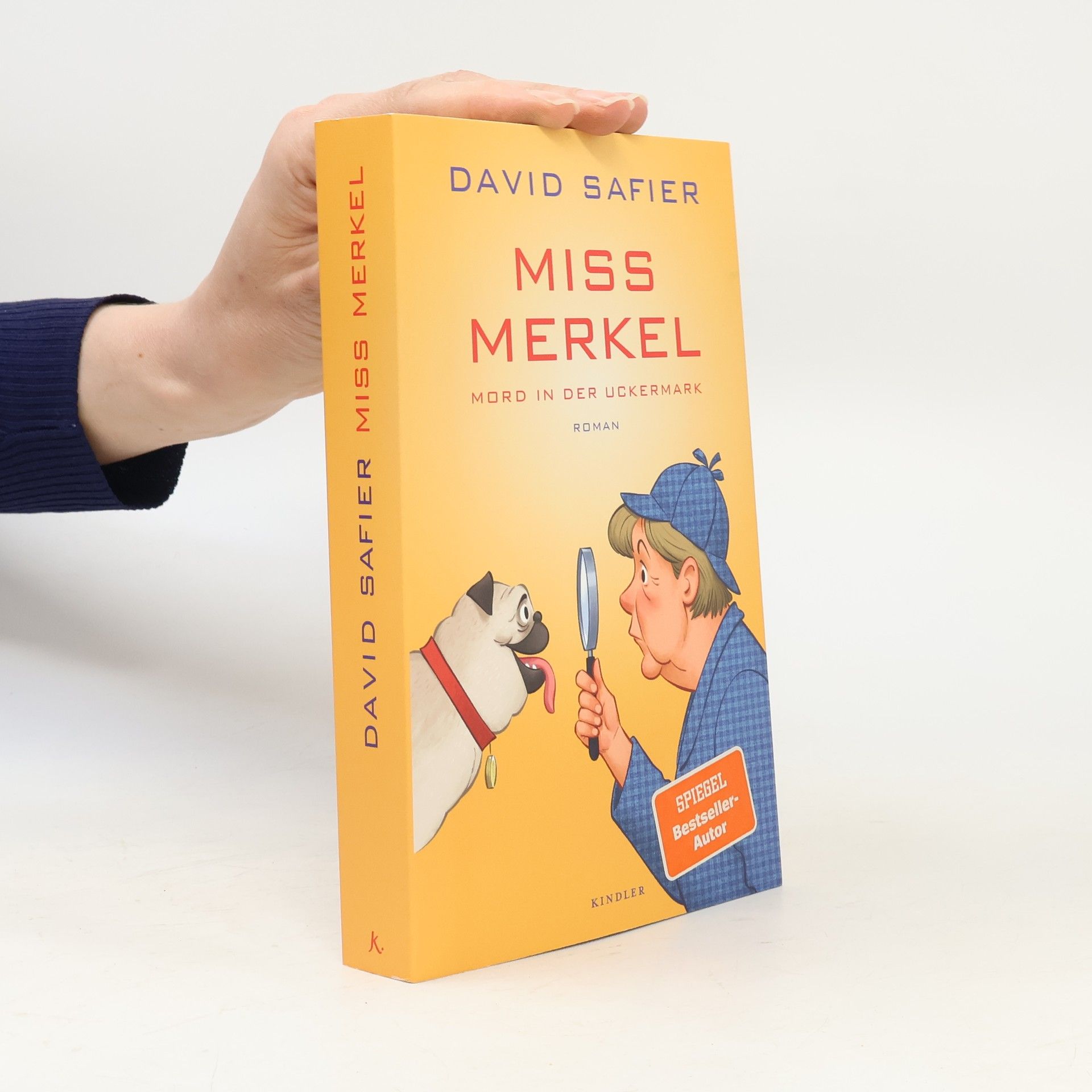 David Safier Miss Merkel