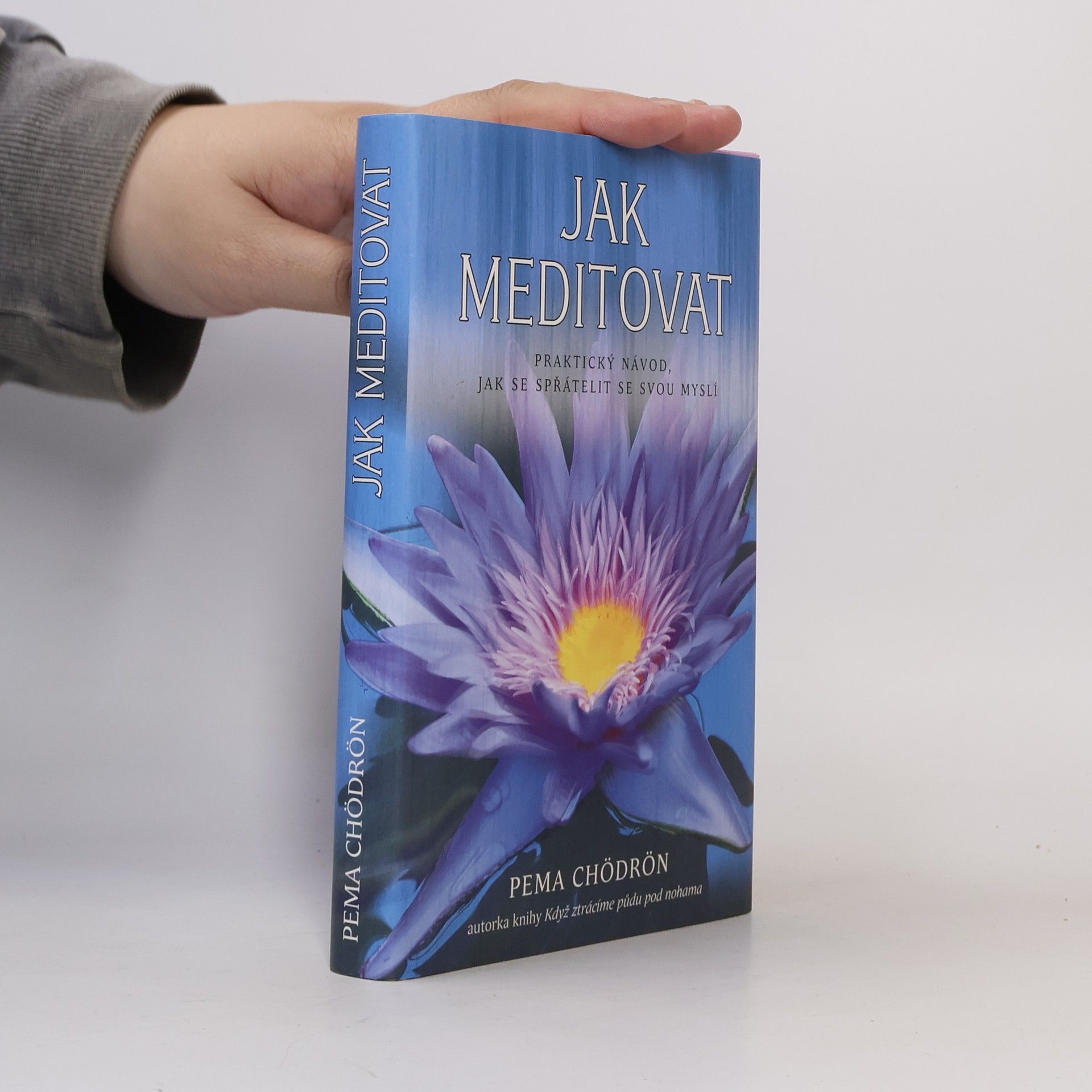 Pema Chödrön Jak meditovat