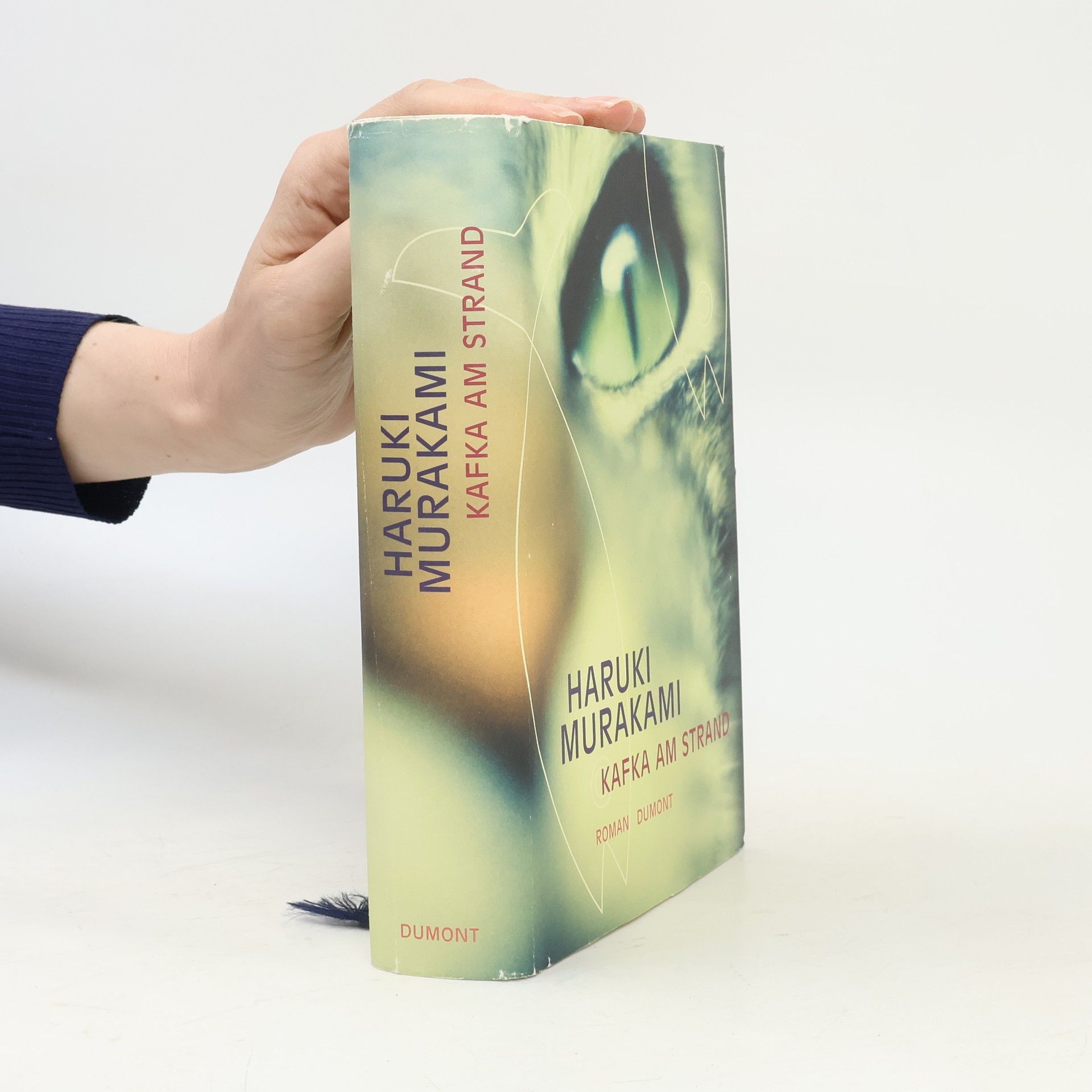 Haruki Murakami Kafka am Strand