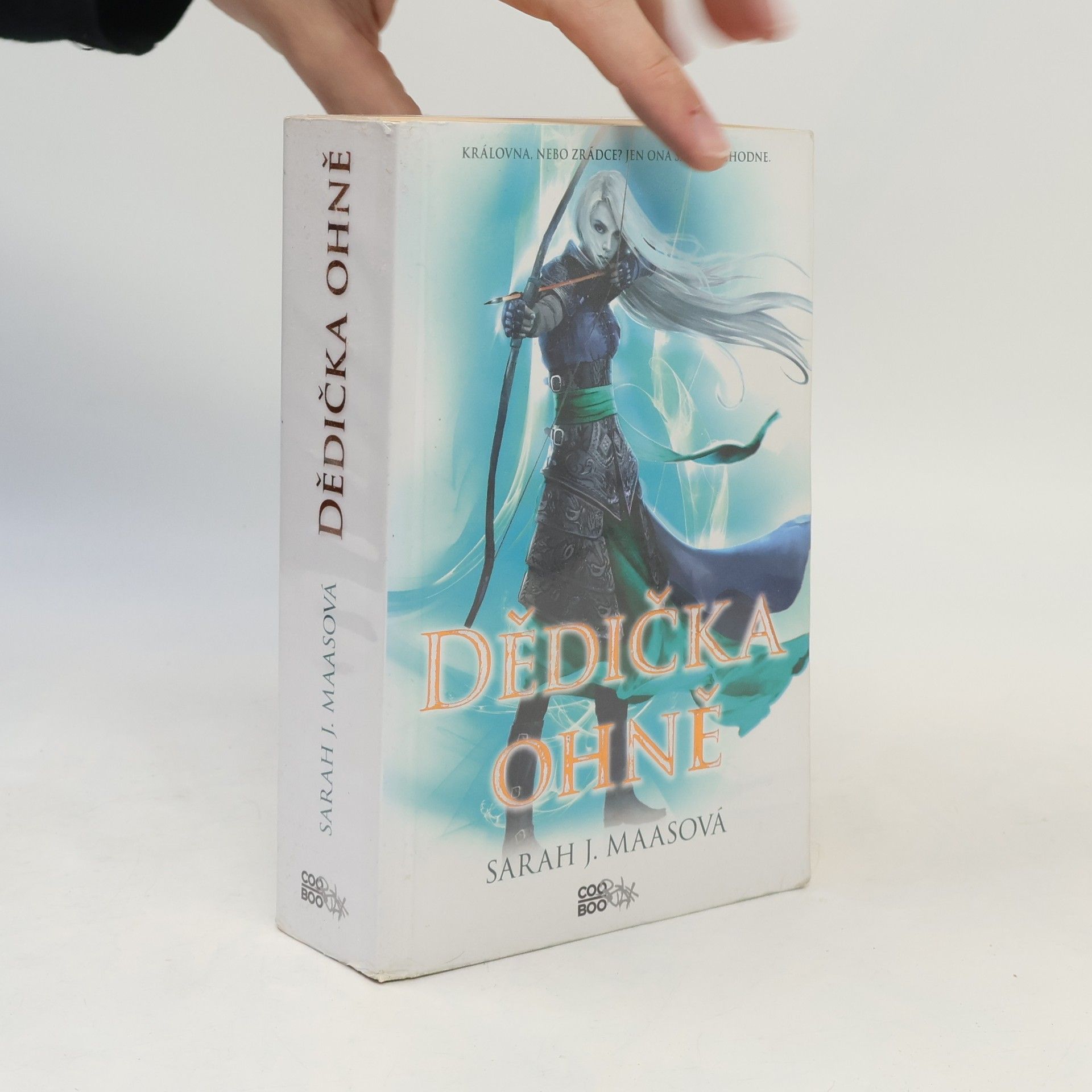 Sarah J. Maas Dědička ohně