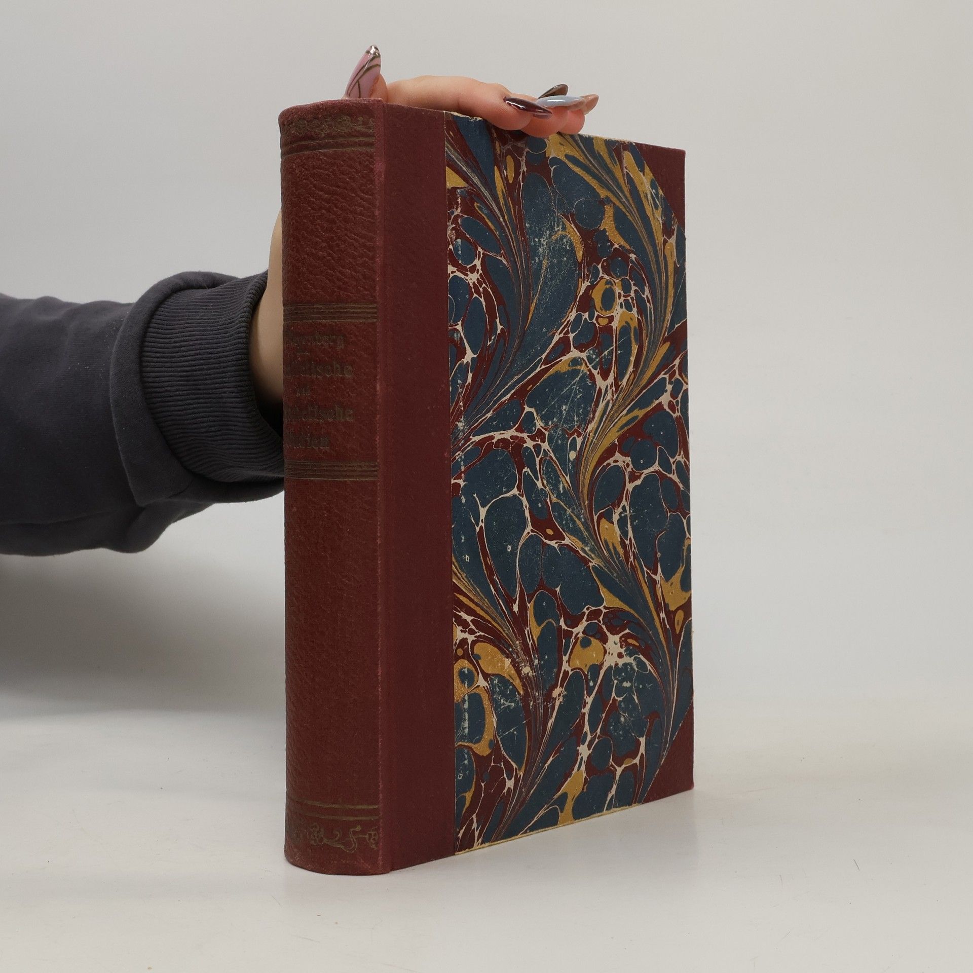 Albert Meyenberg Homiletische und katechetische Studien im Geiste der Heiligen Schrift und des Kirchenjahres
