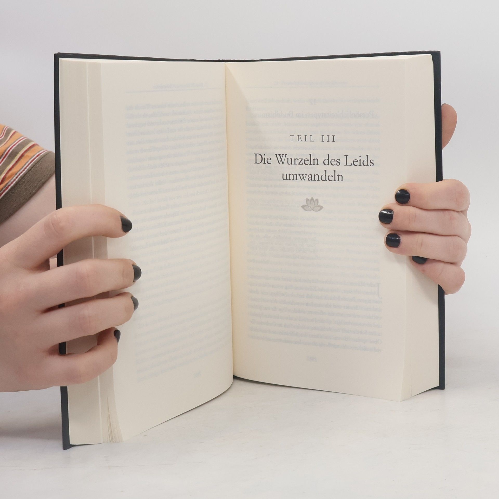 Jack Kornfield Das weise Herz