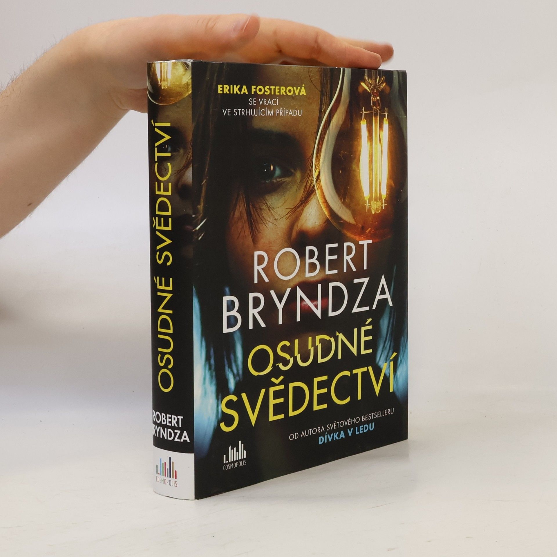 Robert Bryndza Osudné svědectví