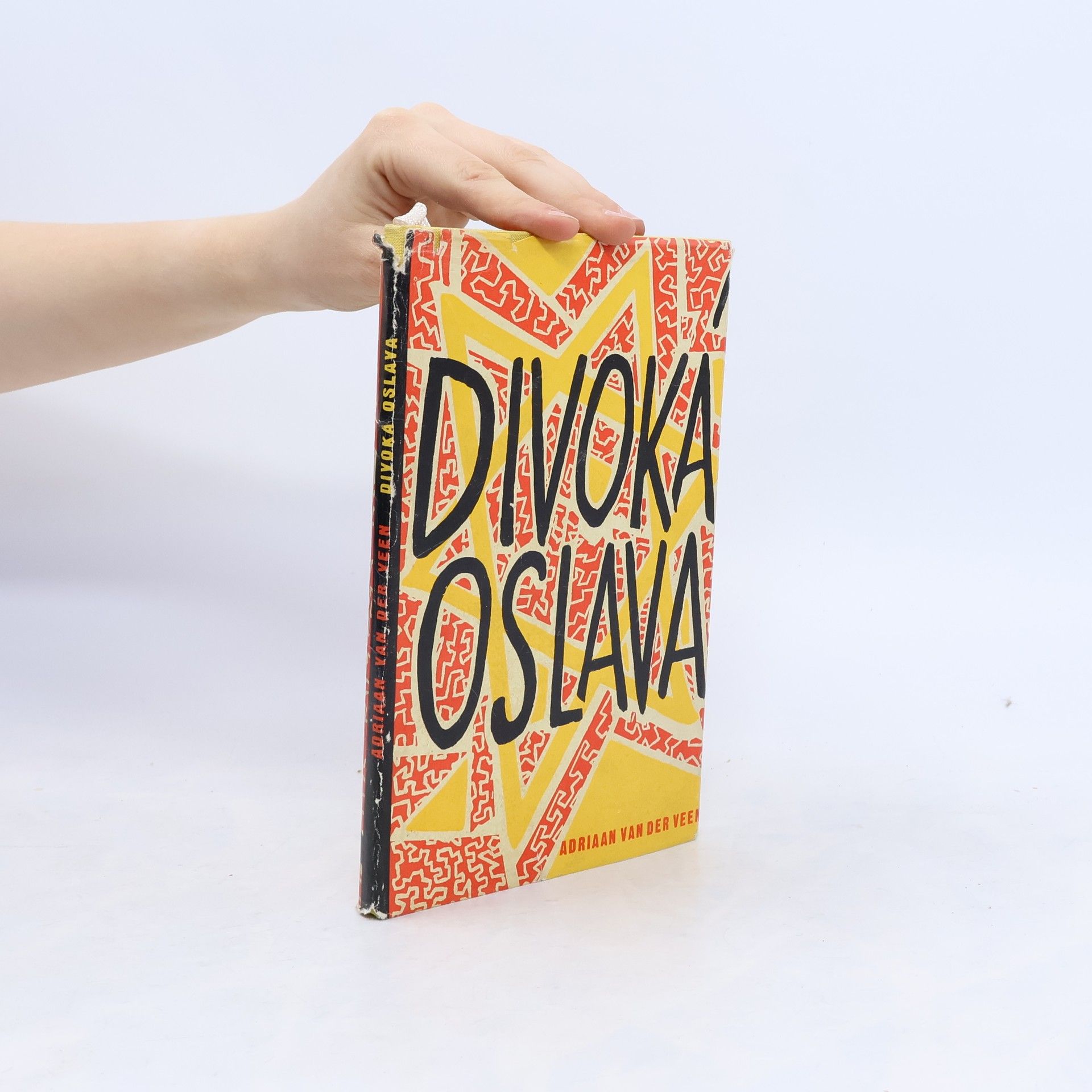 Divoká oslava