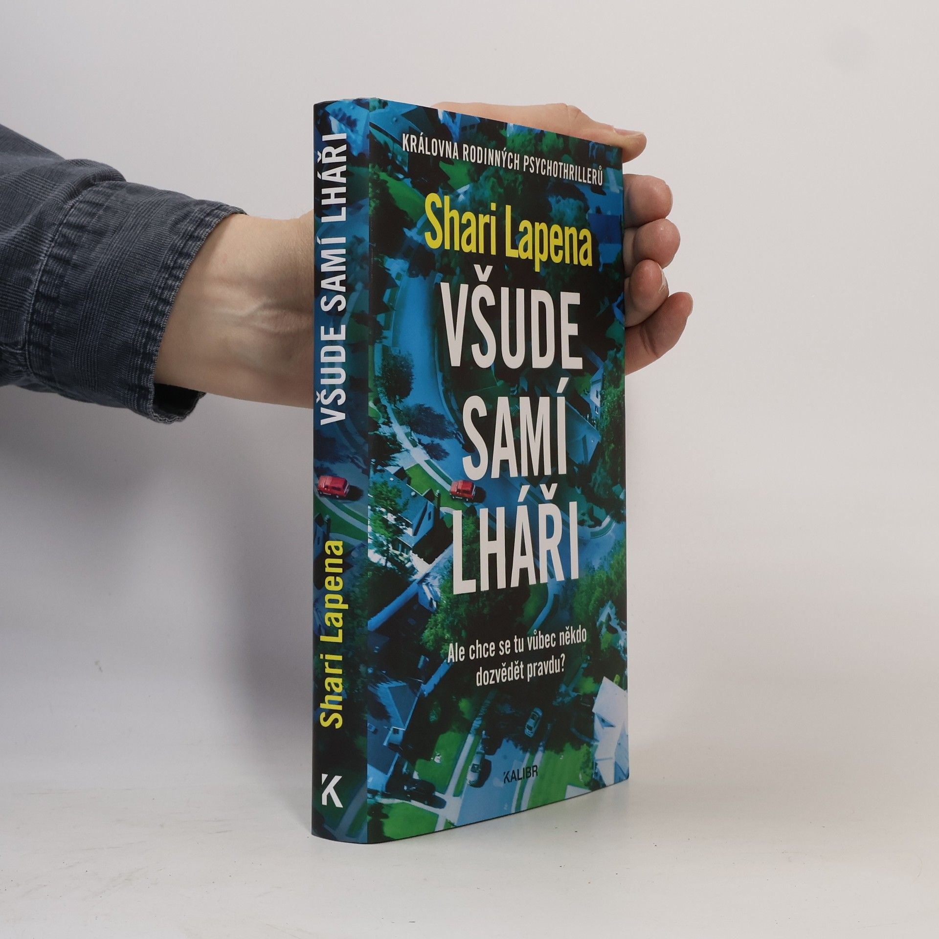 Shari Lapena Všude samí lháři